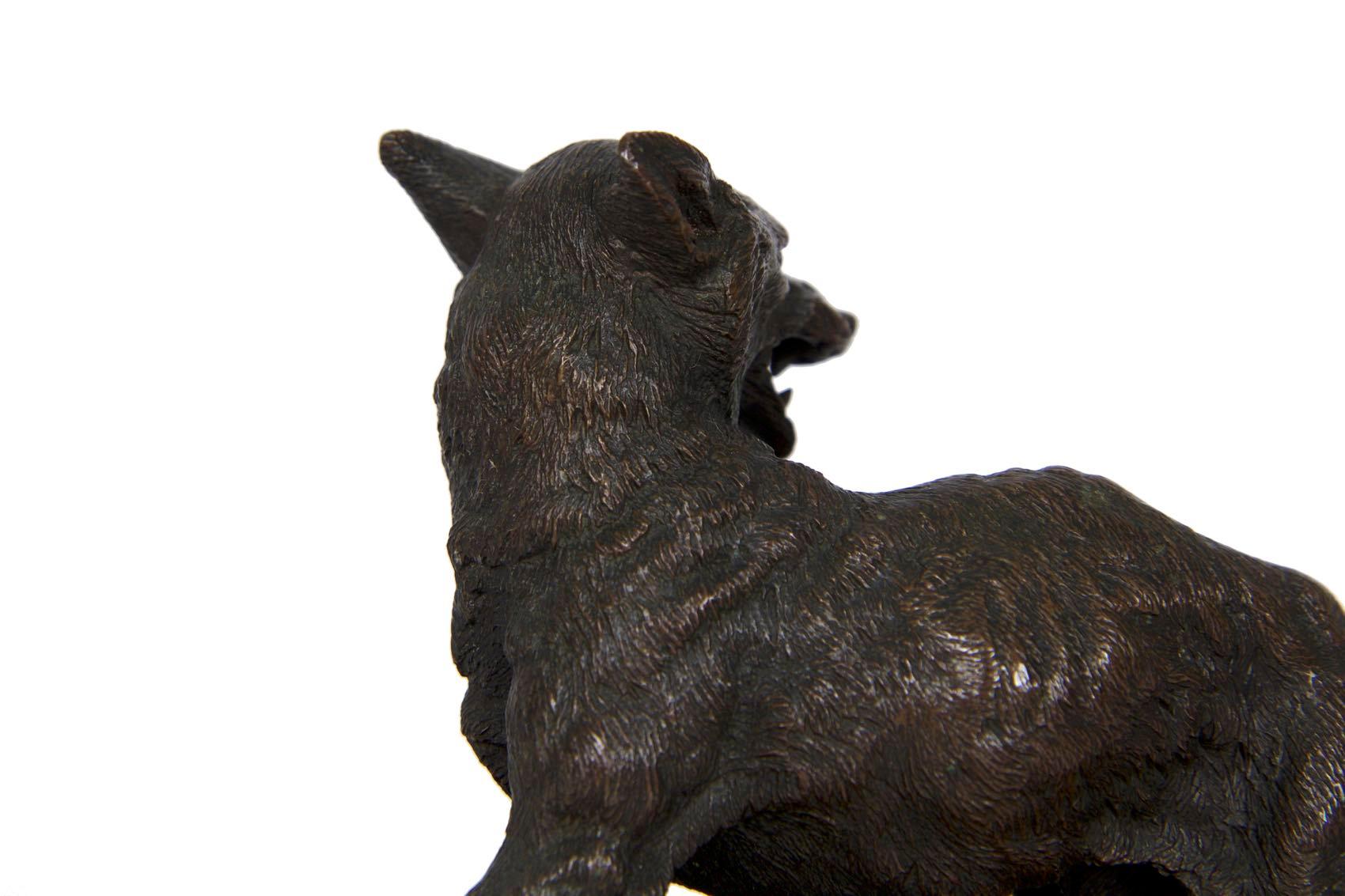 19th Century French Antique Bronze Sculpture of “Renard” by Alfred Dubucand 8