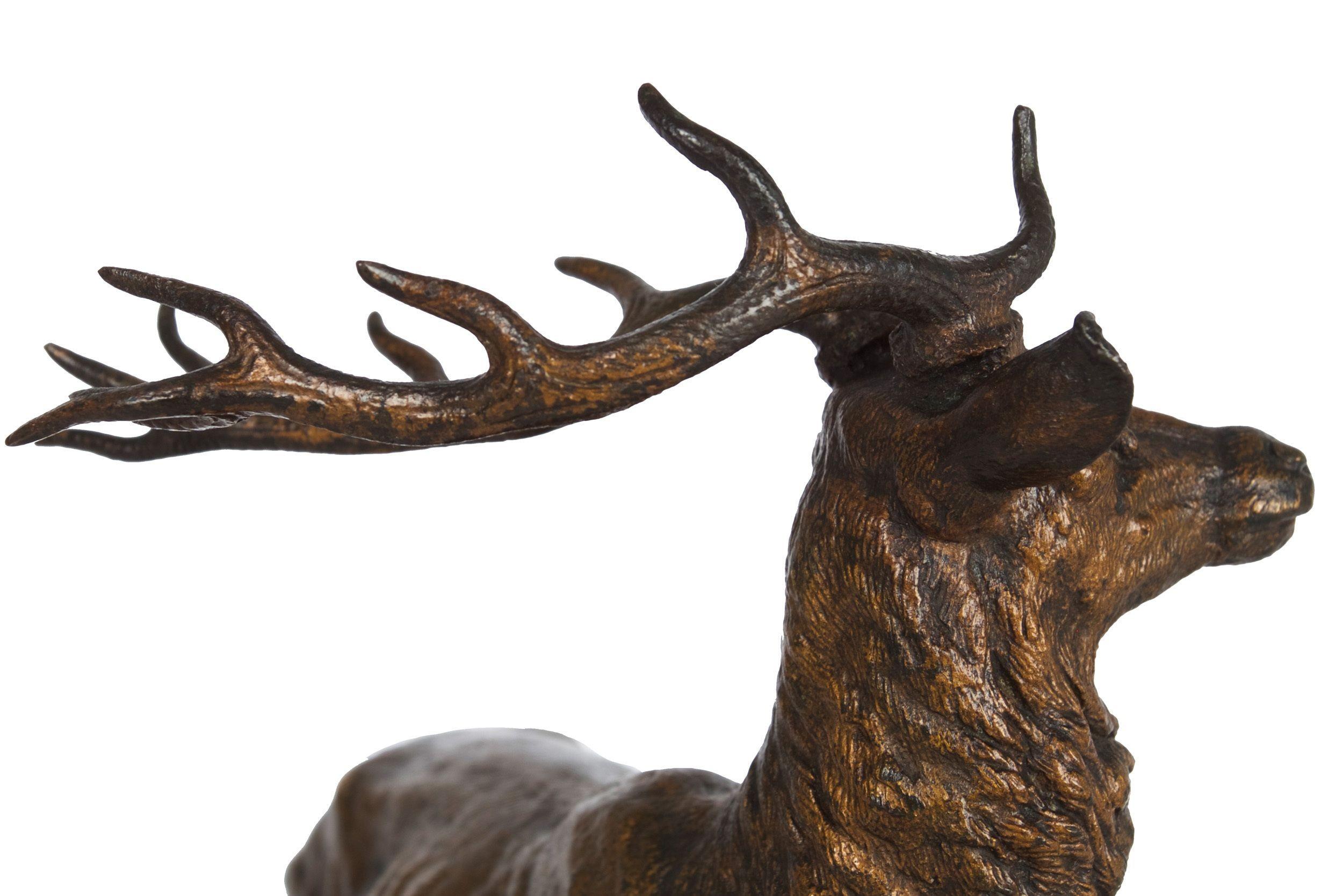 19th Century French Antique Bronze Sculpture of Standing Stag by Alfred Dubucand 8