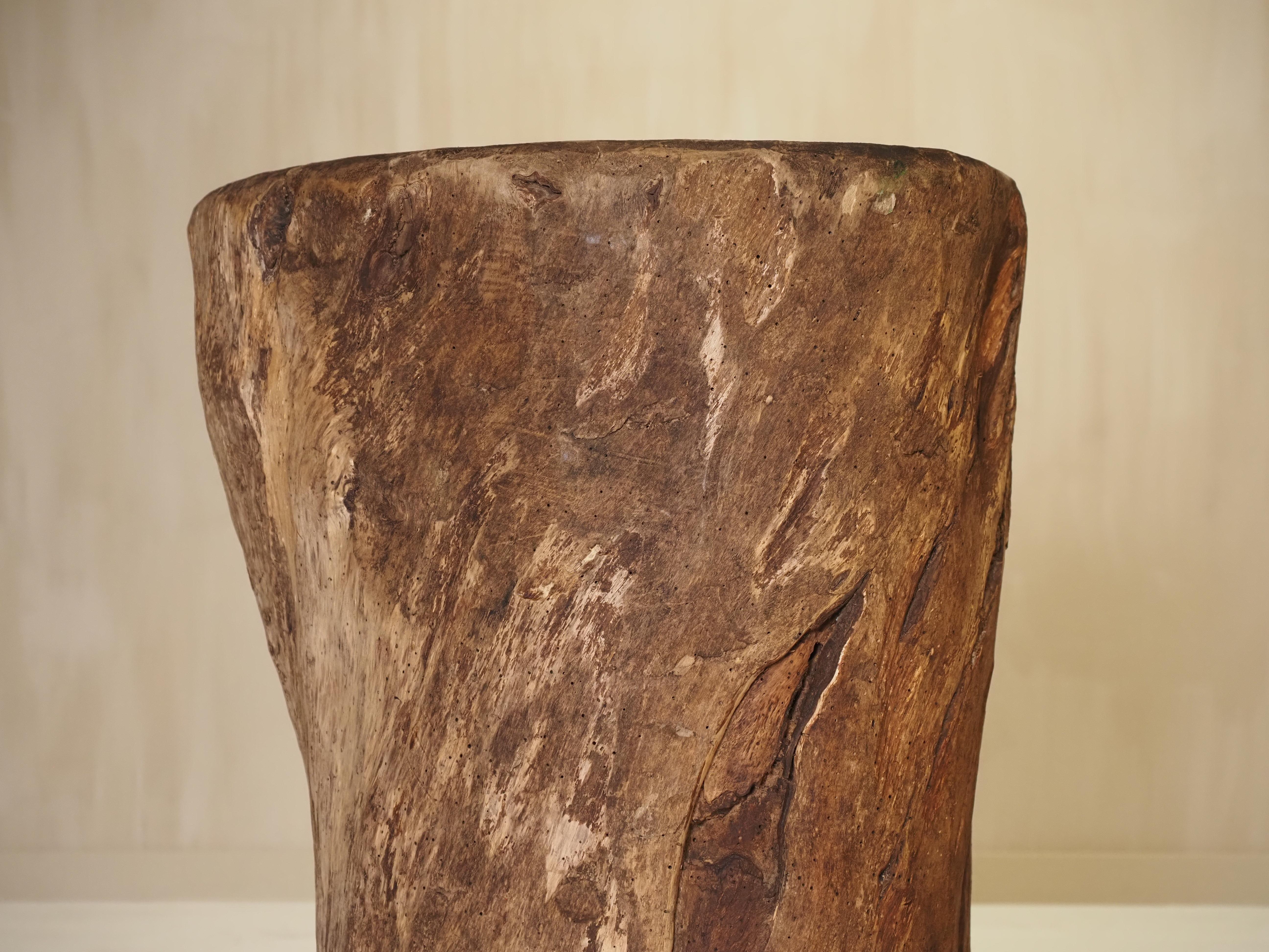 19th Century, French antique hollowed tree trunk wooden planter For Sale 5