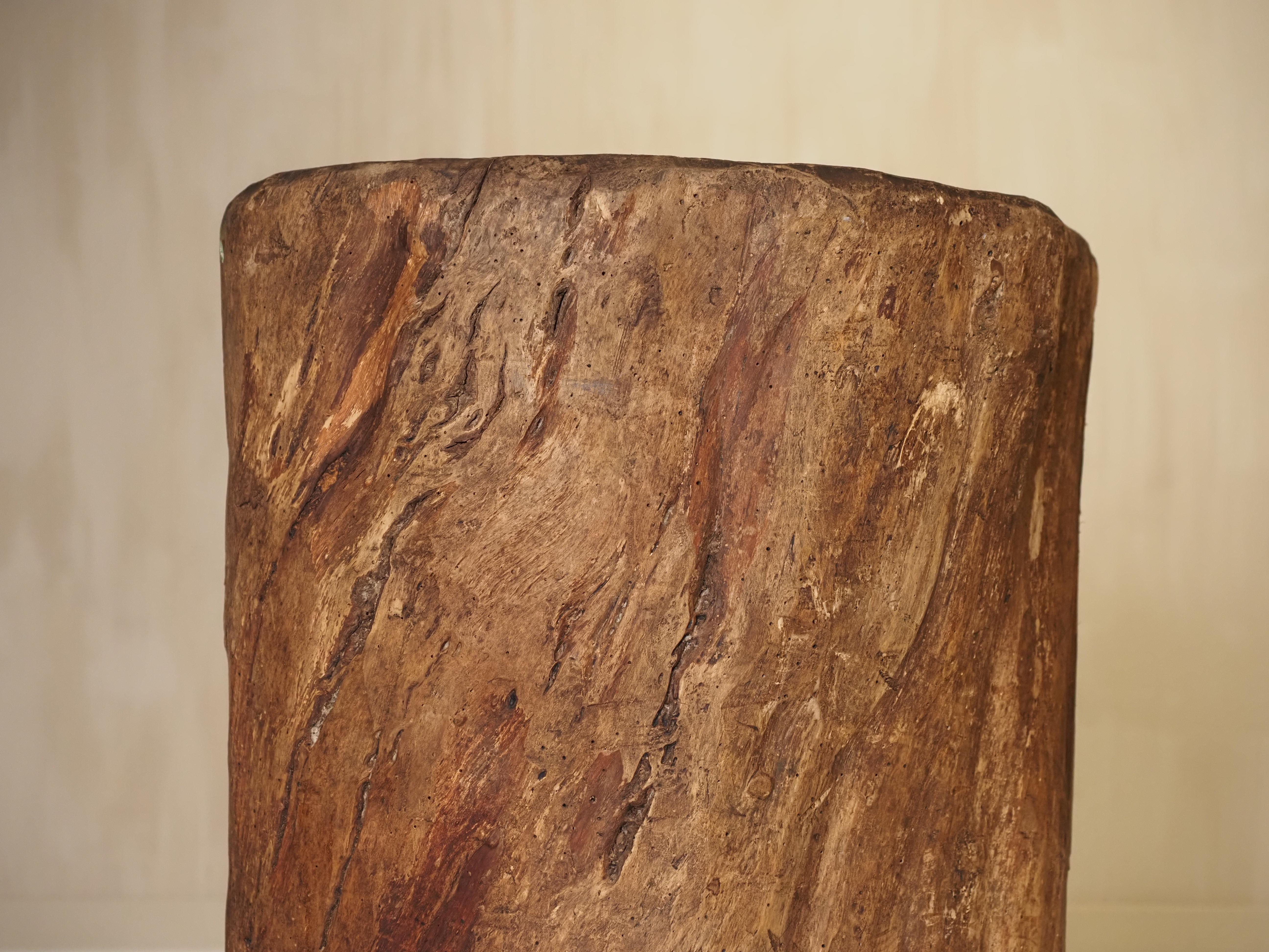 19th Century, French antique hollowed tree trunk wooden planter For Sale 6