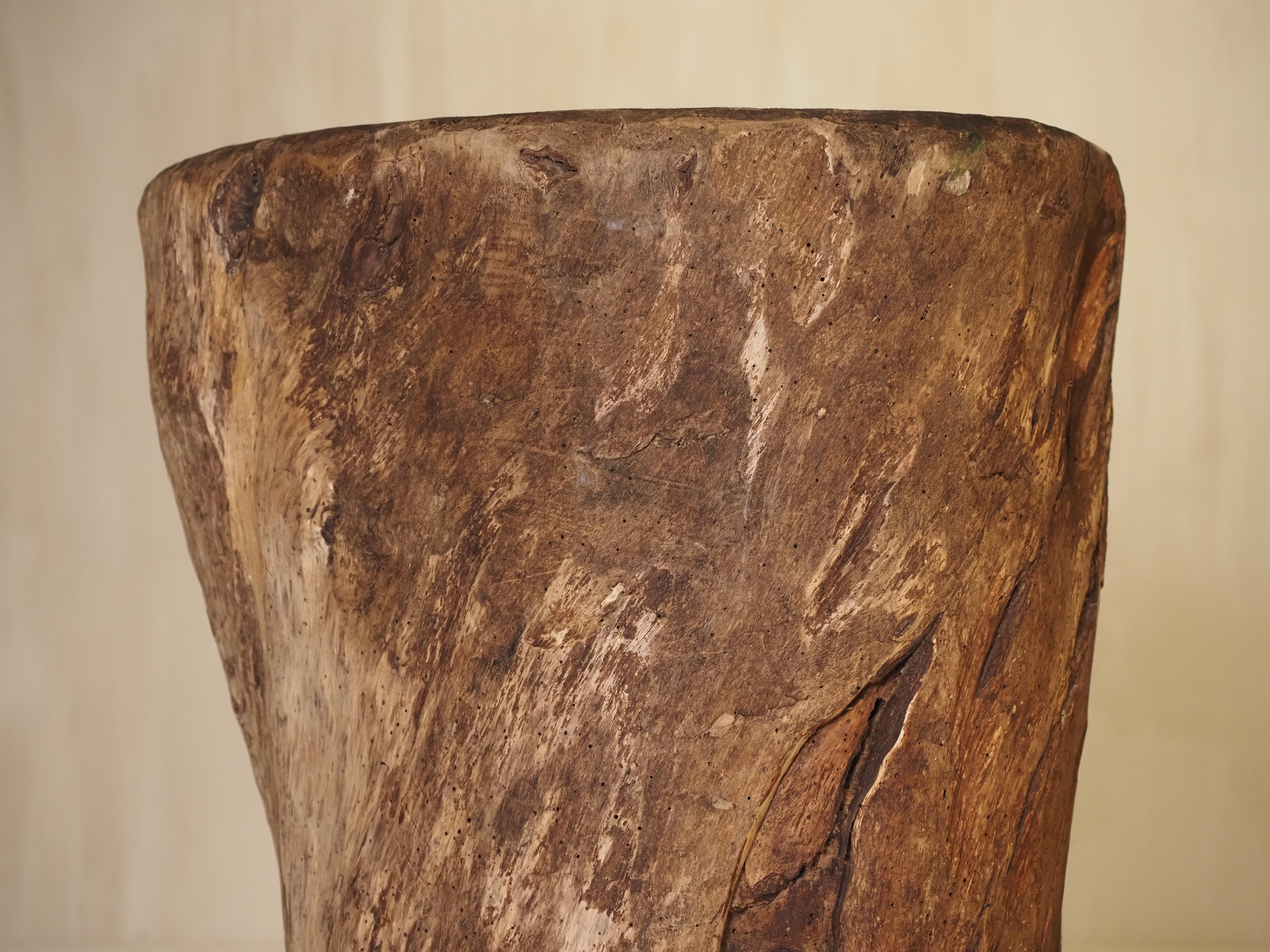 19th Century, French antique hollowed tree trunk wooden planter For Sale 4