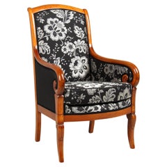 Fauteuil français du 19e siècle, Fauteuil, Bergere, Biedermeier, Empire
