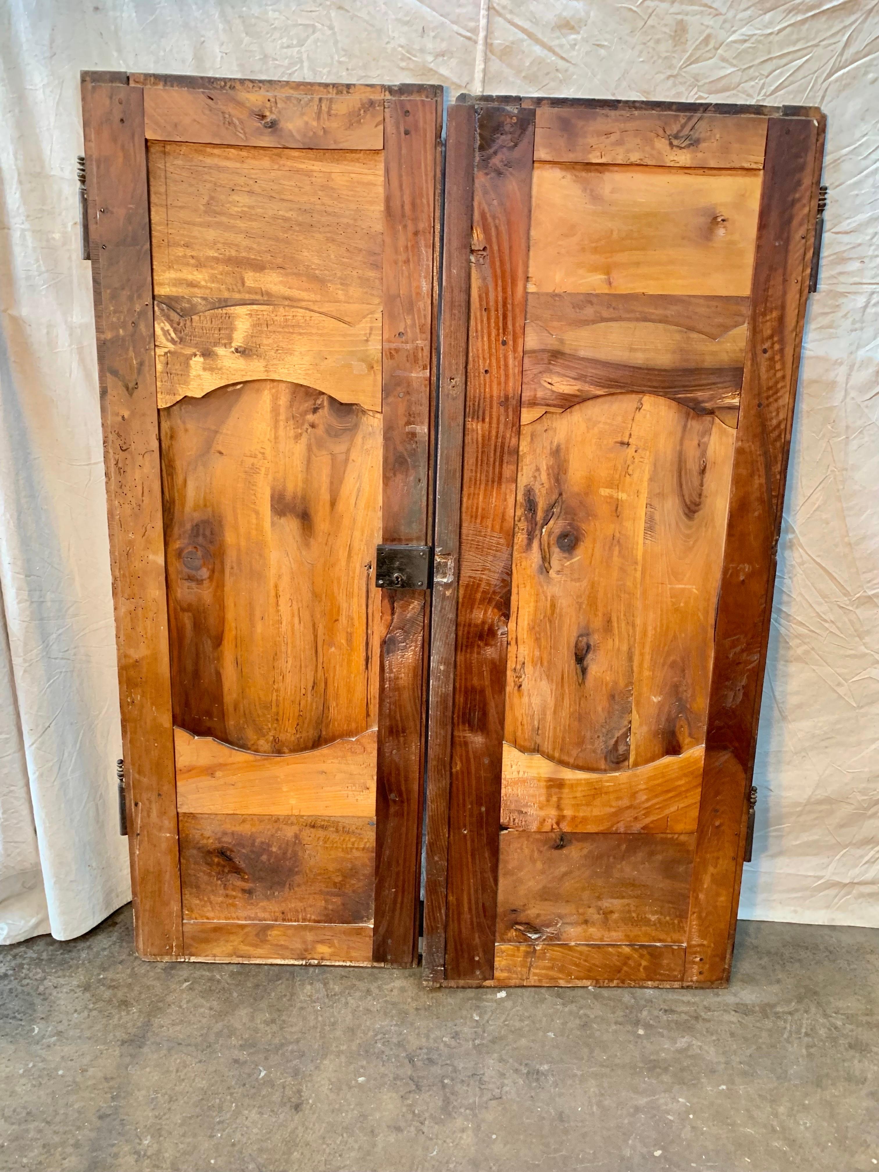 19th Century French Armoire Doors - a Pair For Sale 7