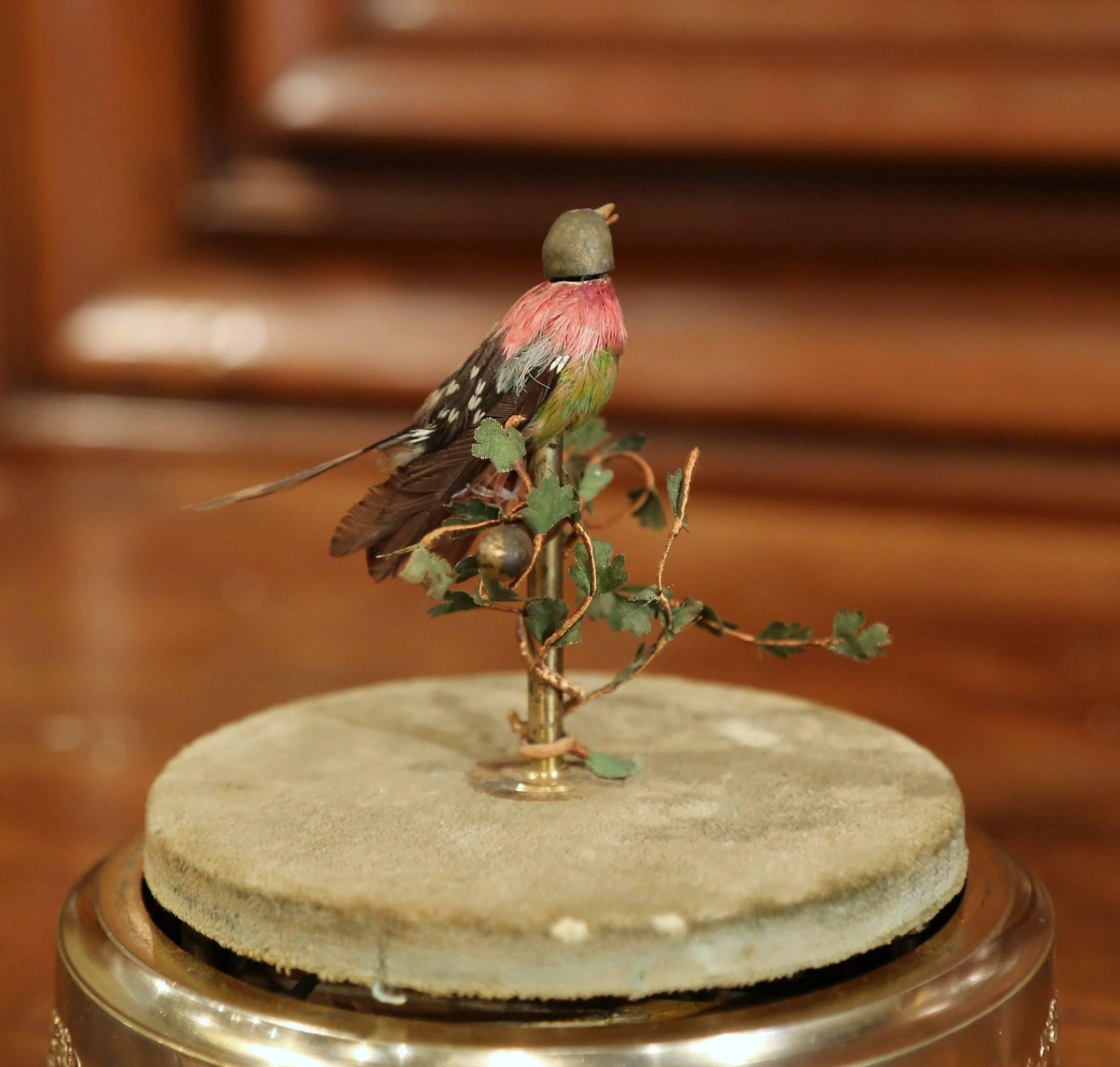 19th Century French Automaton Singing Bird in Brass Cage 5