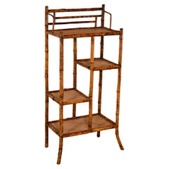 19th Century French Bamboo Bookcase