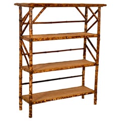 19th Century French Bamboo Bookshelf