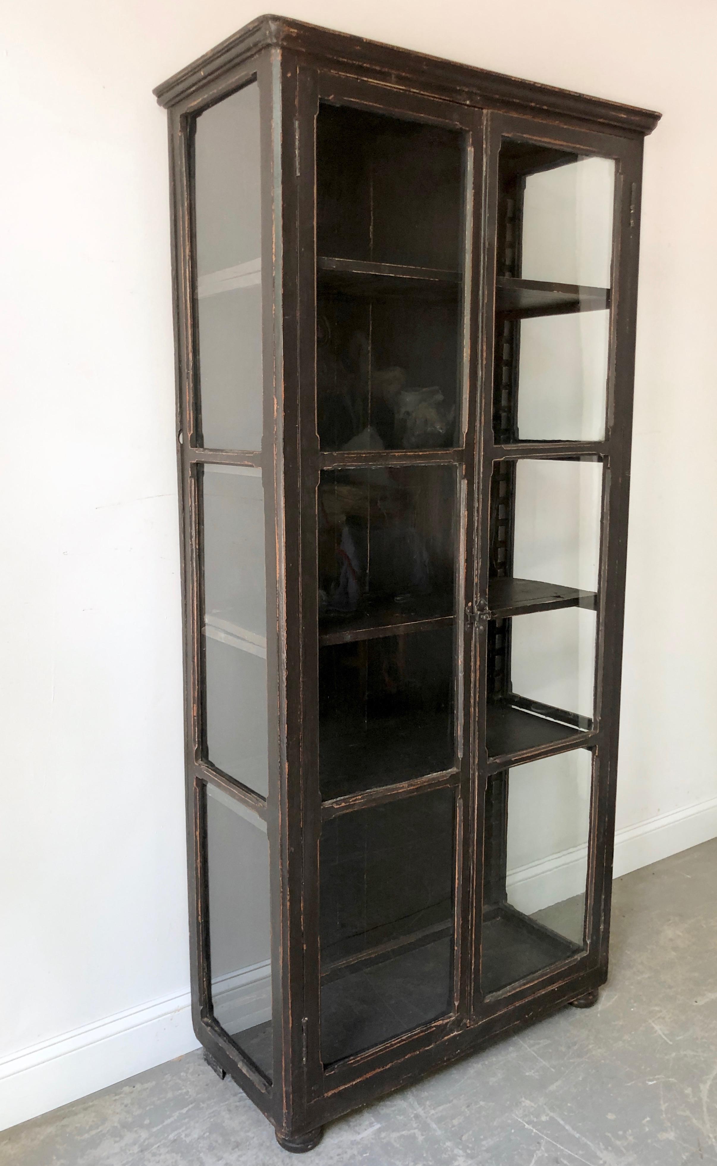 Hand-Carved 19th Century French Bibliotheque/Display Cabinet
