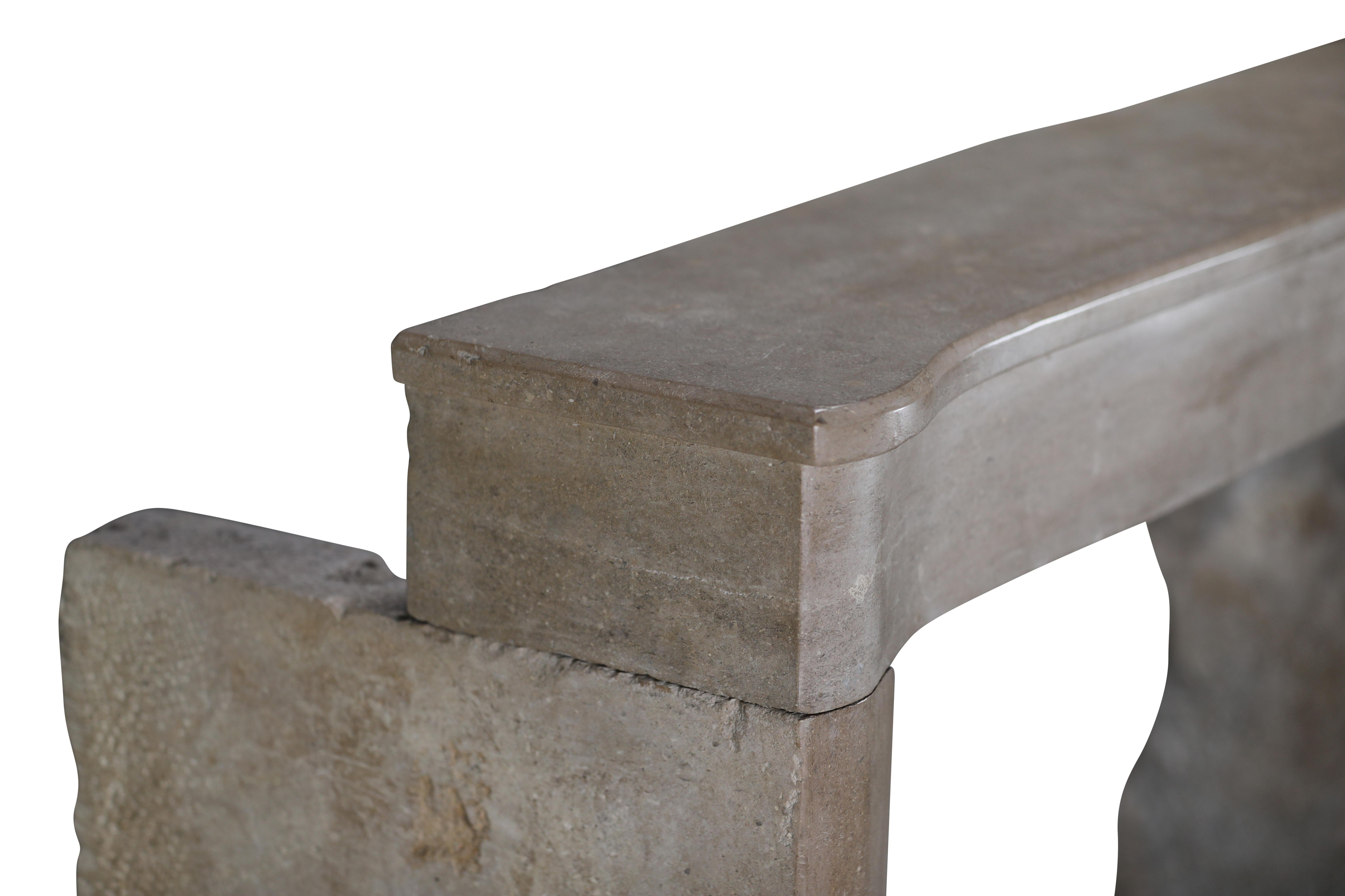 Cornice per caminetto in pietra bicolore francese del XIX secolo per un soggiorno moderno e lento in vendita 4