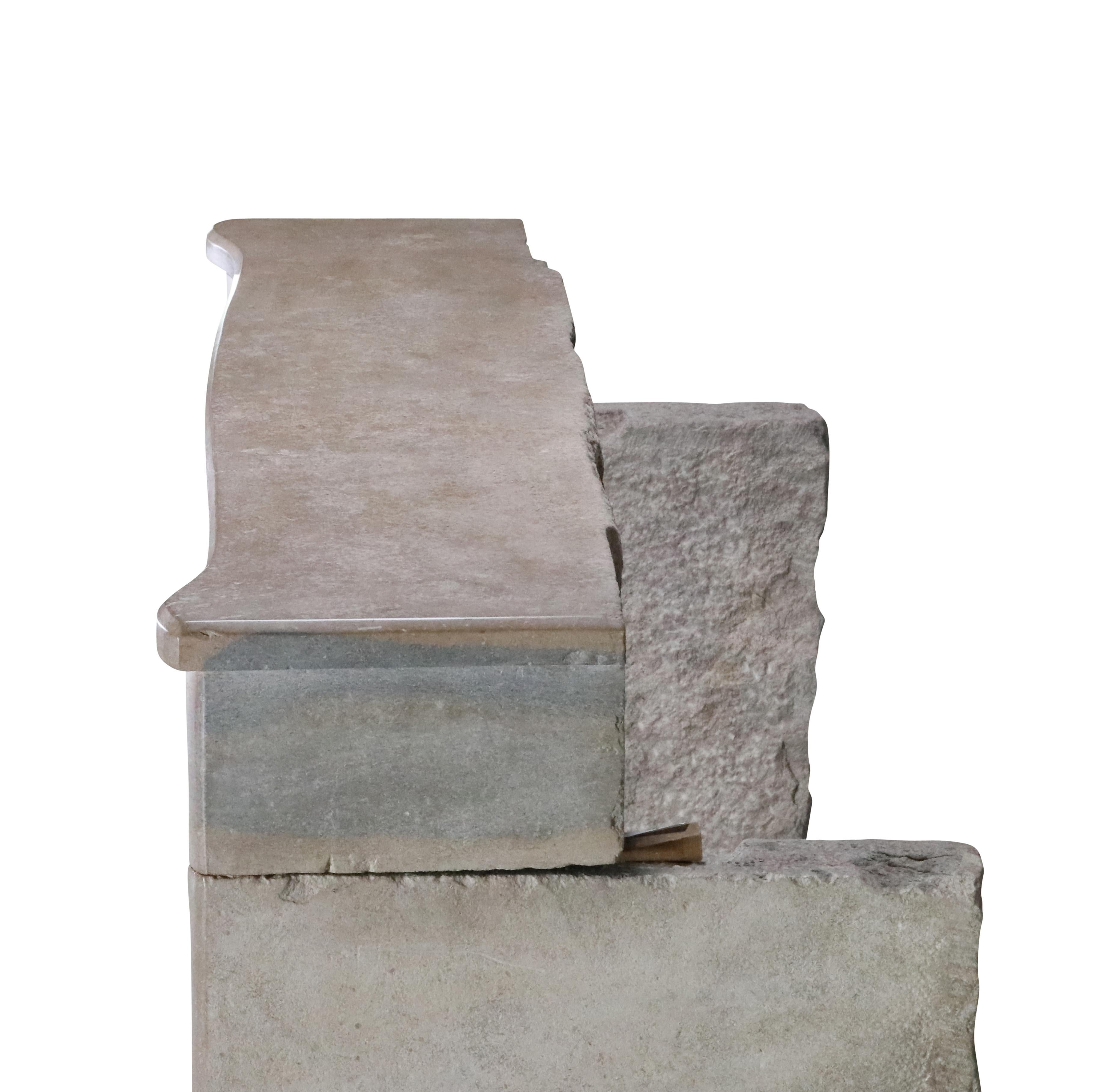 Cornice per caminetto in pietra bicolore francese del XIX secolo per un soggiorno moderno e lento in vendita 5