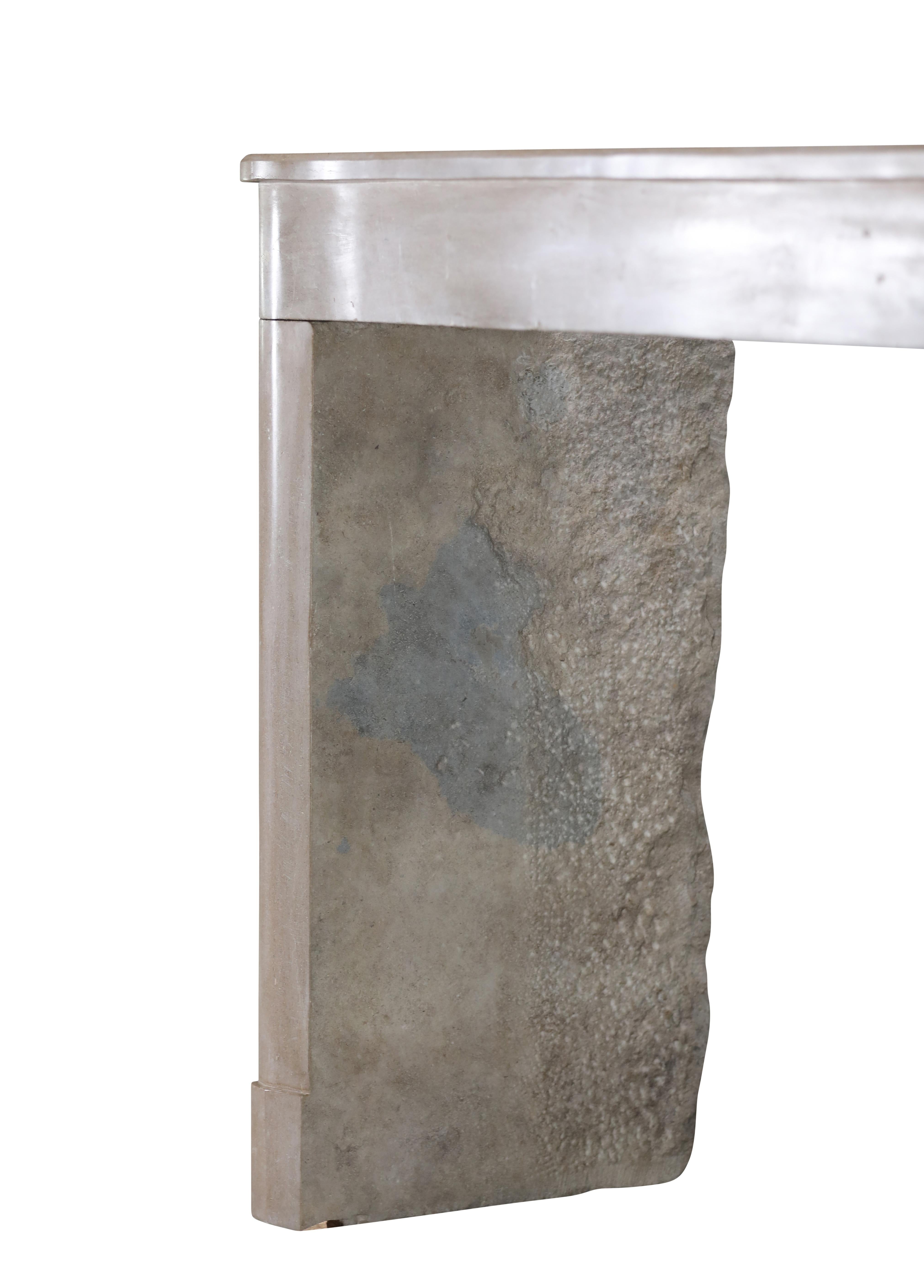 Cornice per caminetto in pietra bicolore francese del XIX secolo per un soggiorno moderno e lento in vendita 6