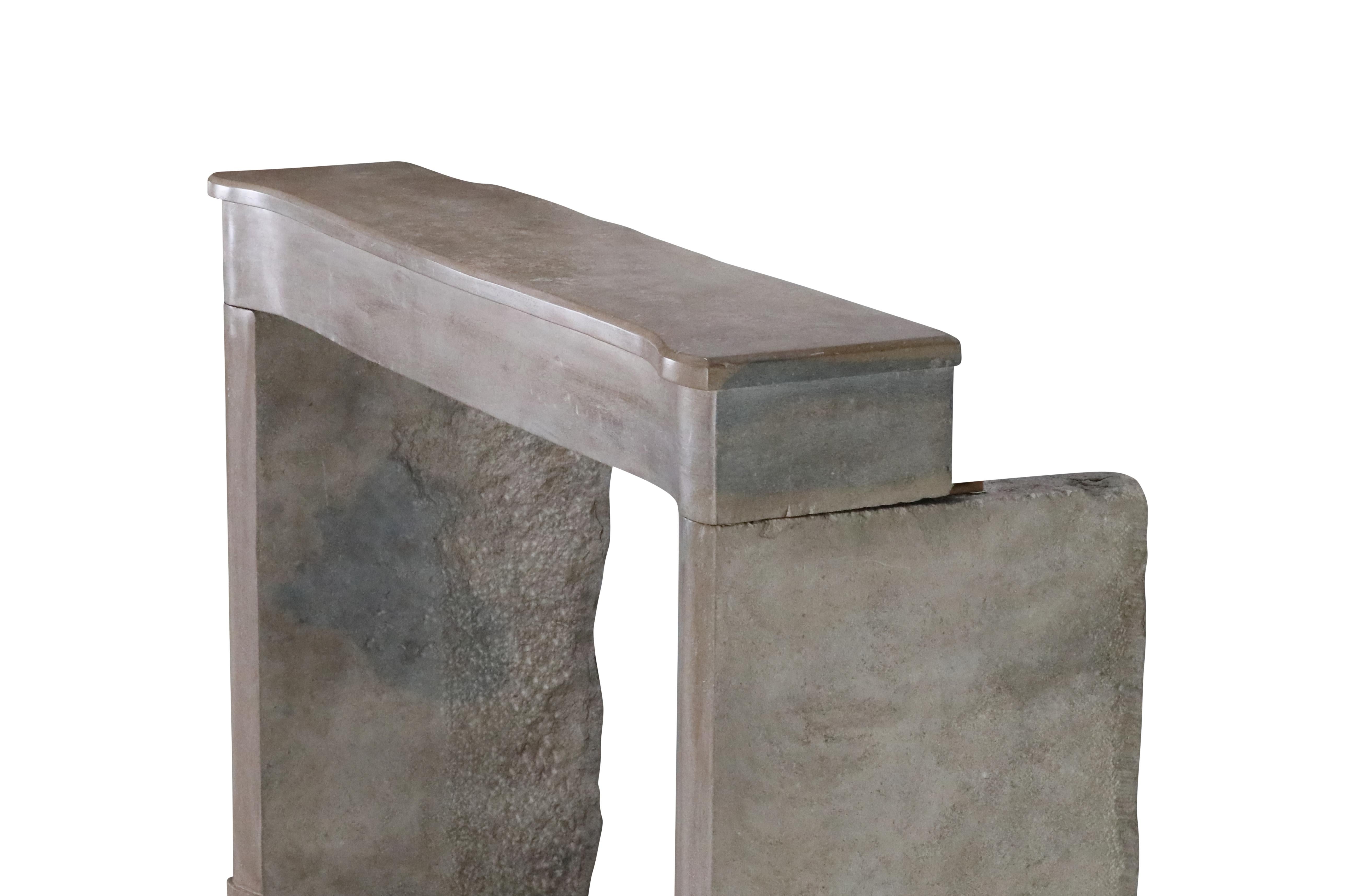 Cornice per caminetto in pietra bicolore francese del XIX secolo per un soggiorno moderno e lento in vendita 7