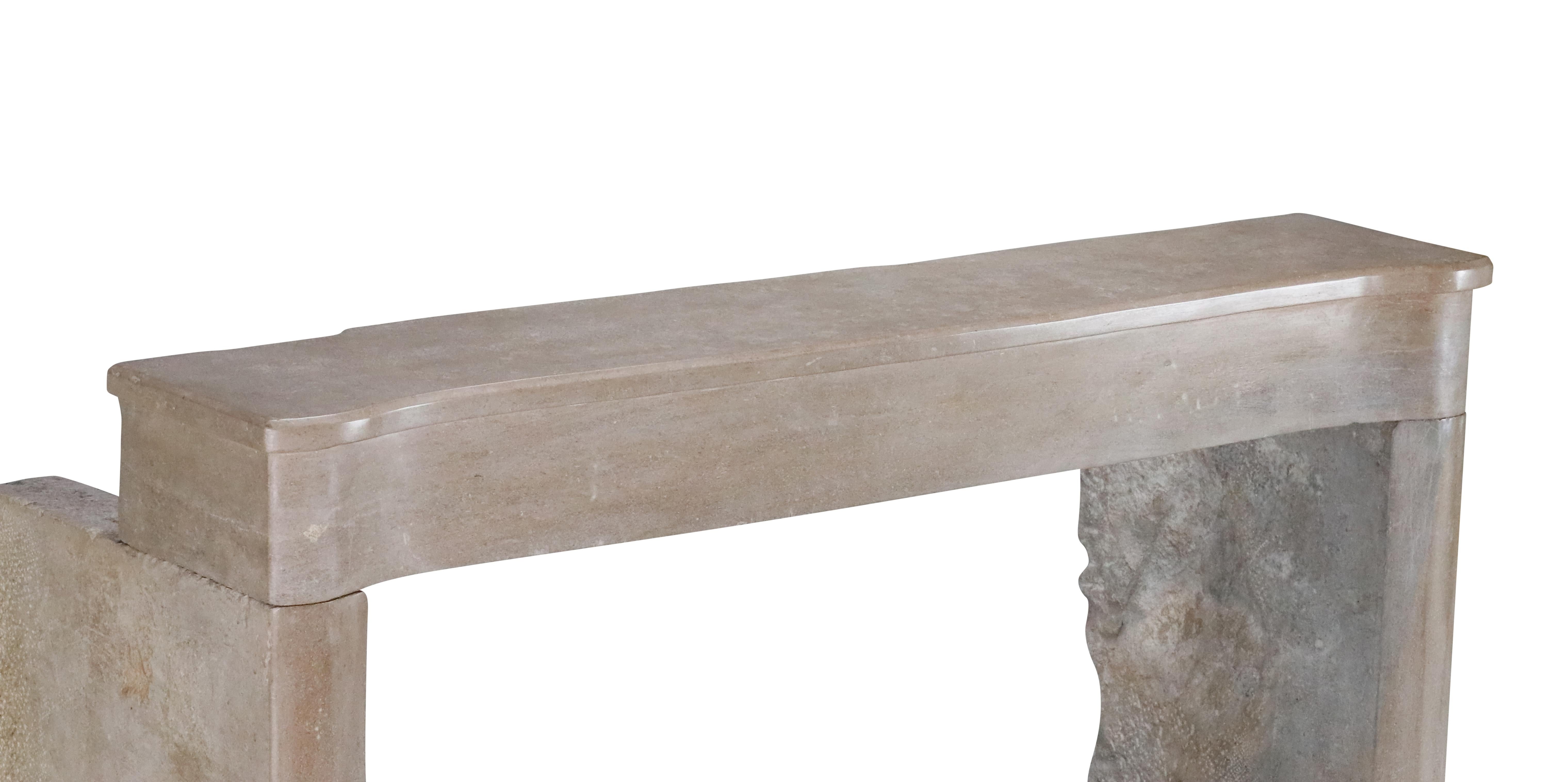 Cornice per caminetto in pietra bicolore francese del XIX secolo per un soggiorno moderno e lento in vendita 10