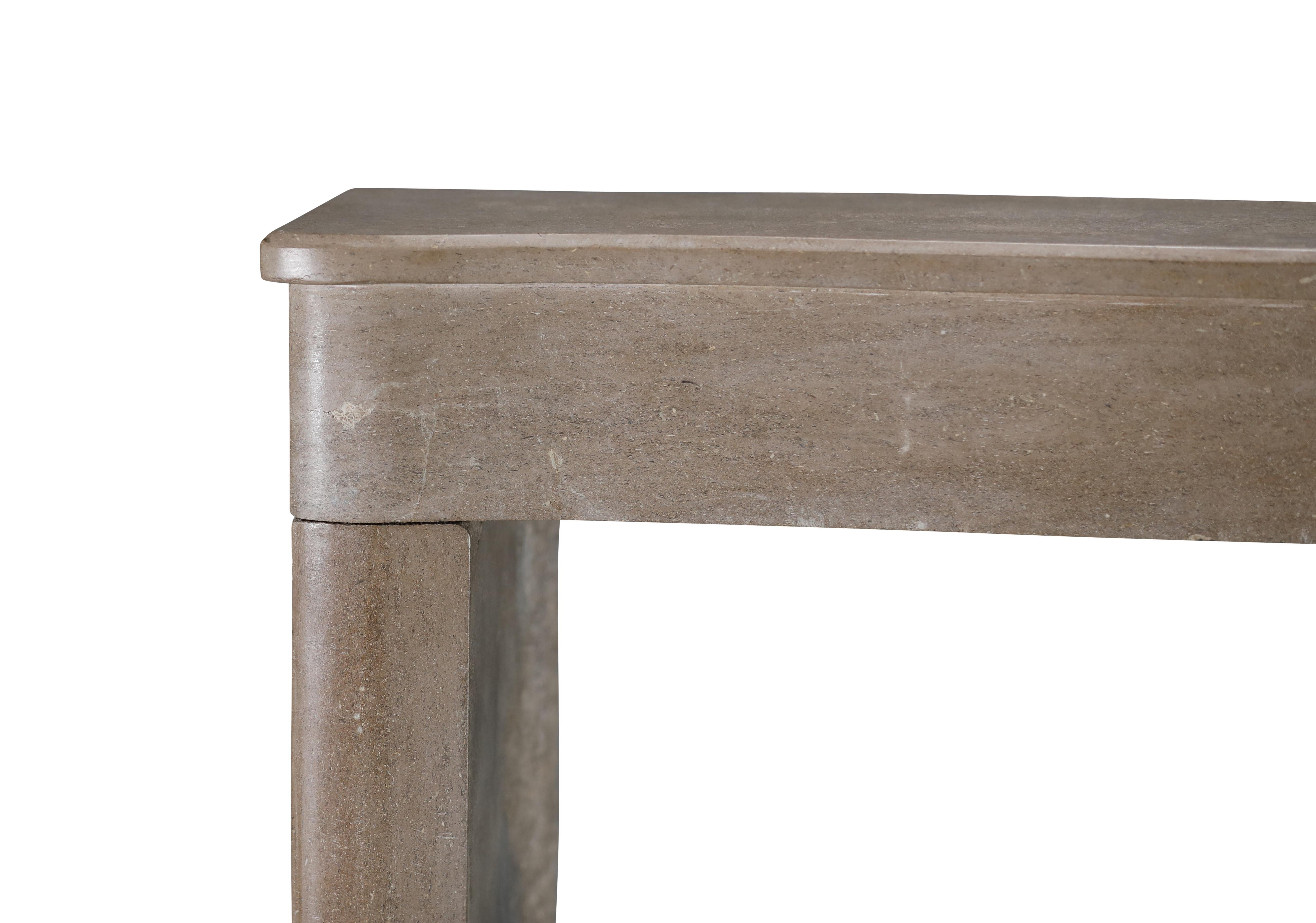 Cornice per caminetto in pietra bicolore francese del XIX secolo per un soggiorno moderno e lento in vendita 11