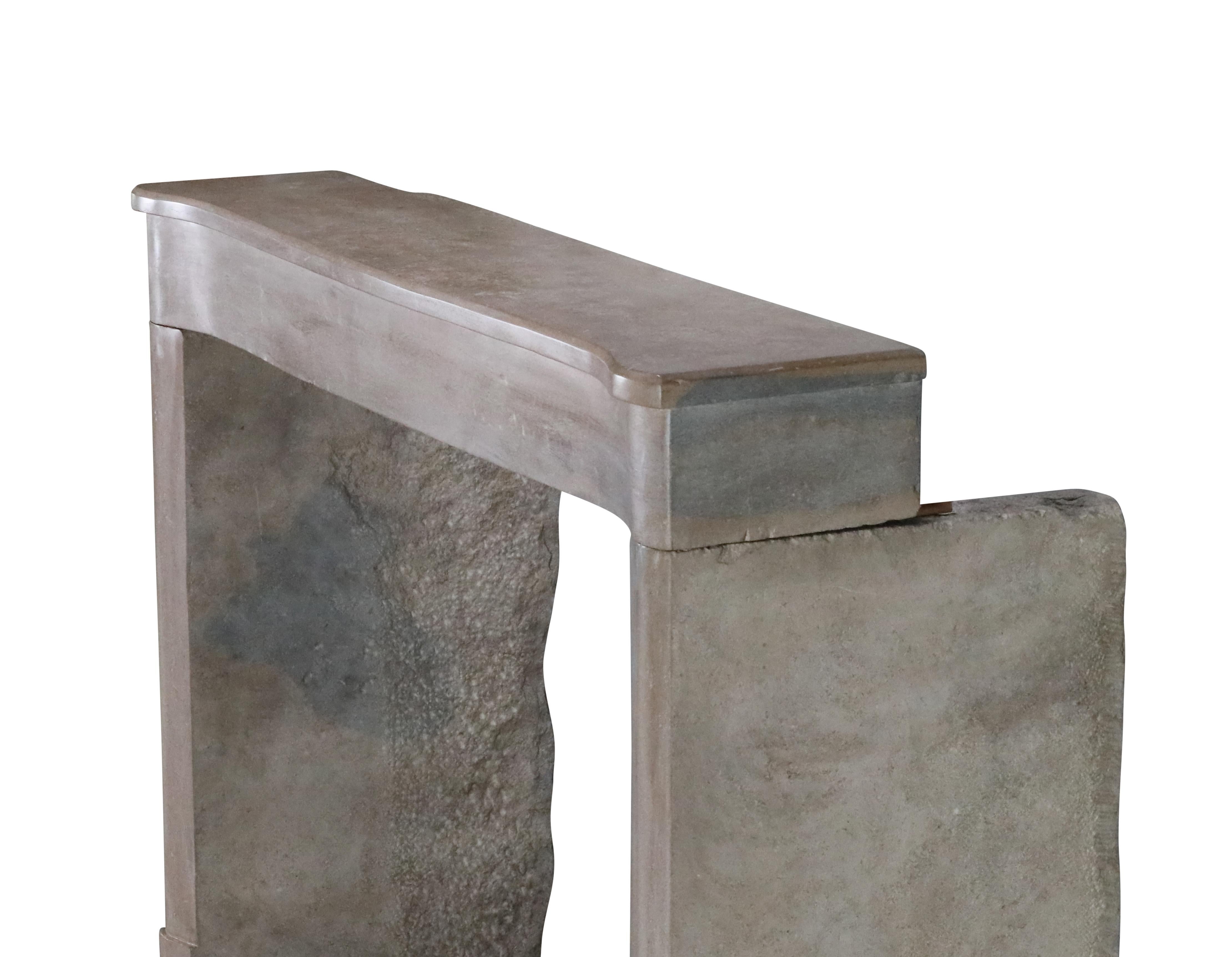 Pietra Cornice per caminetto in pietra bicolore francese del XIX secolo per un soggiorno moderno e lento in vendita