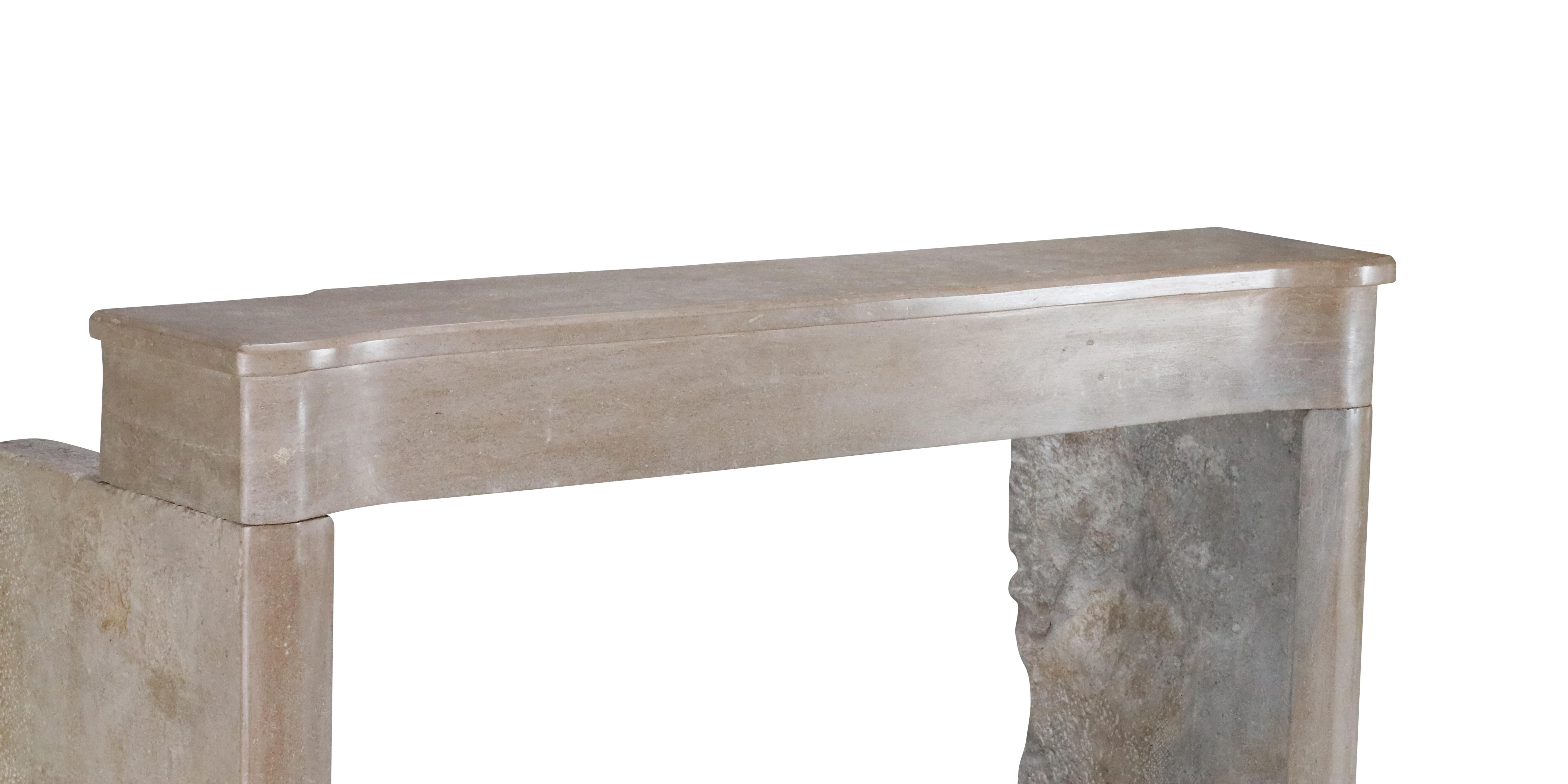 Cornice per caminetto in pietra bicolore francese del XIX secolo per un soggiorno moderno e lento in vendita 1