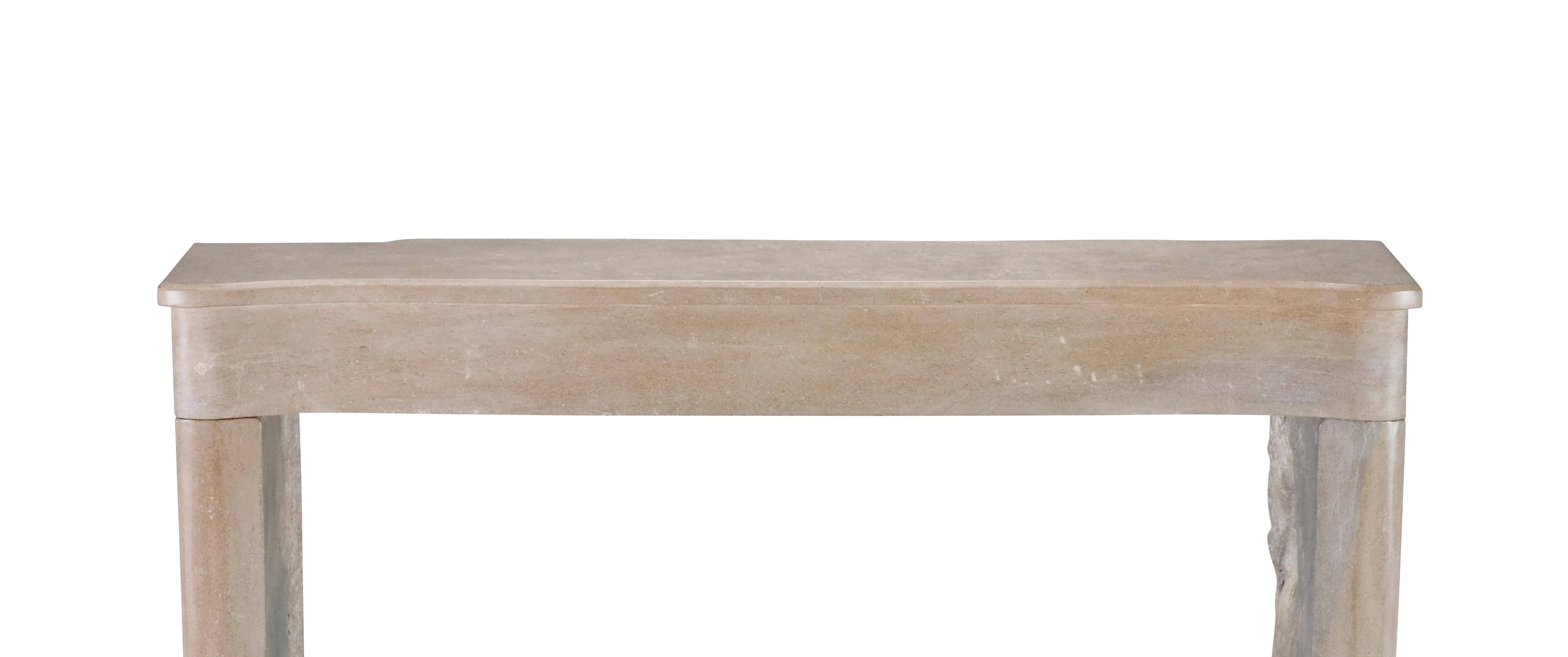 Cornice per caminetto in pietra bicolore francese del XIX secolo per un soggiorno moderno e lento in vendita 2