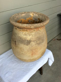 19th Century French Biot Pot Olive Jar