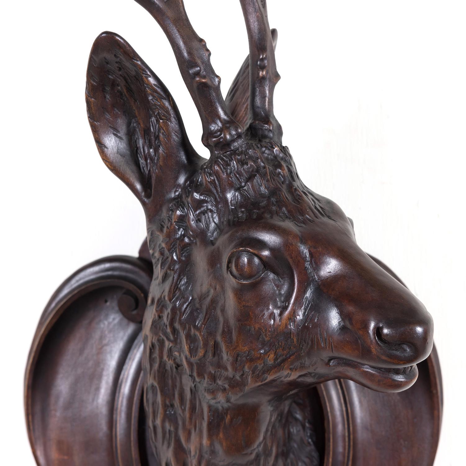 A fantastic antique French Black Forest carved wooden trophy plaque depicting an intricately hand carved solid walnut six point buck or stag head with carved antlers mounted on a carved cartouche or shield, circa 1890s. The quality of execution and