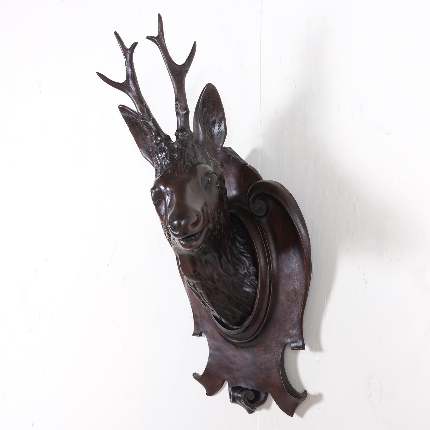 19th Century French Black Forest Hand Carved Wooden Buck Head Trophy Plaque In Good Condition In Birmingham, AL