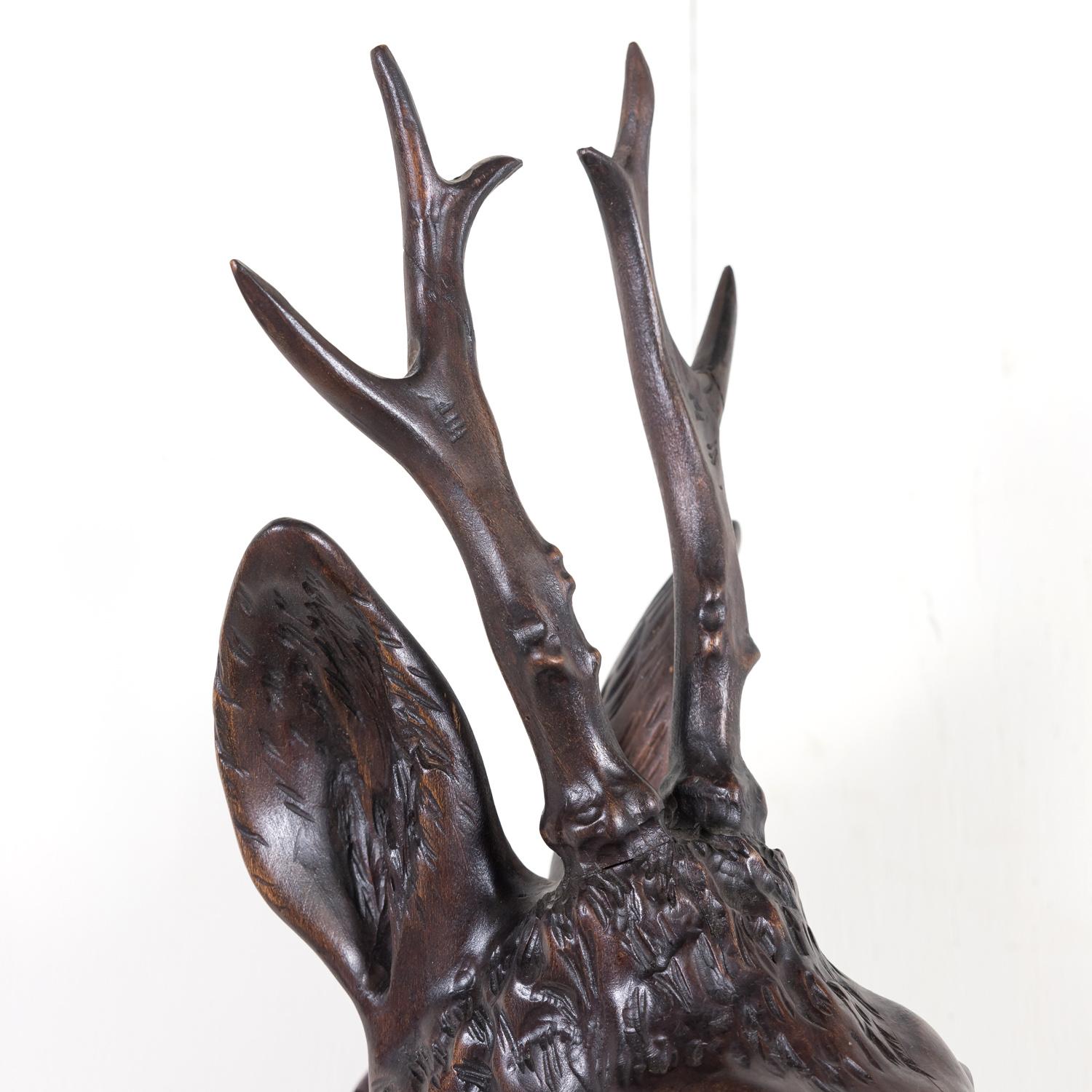 Walnut 19th Century French Black Forest Hand Carved Wooden Buck Head Trophy Plaque
