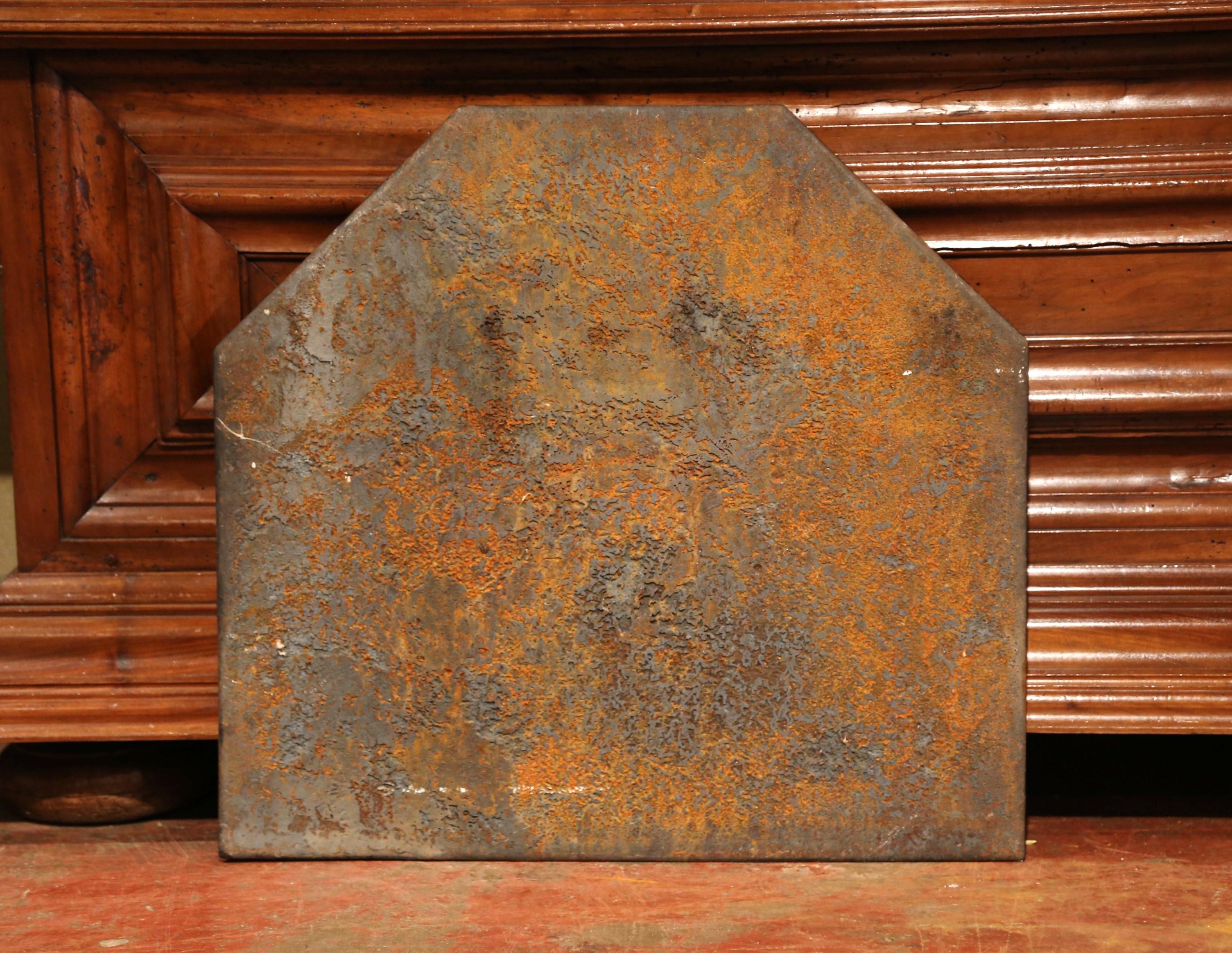Plaque de cheminée en fer noir du XIXe siècle avec couronne, écusson et feuillage en vente 1
