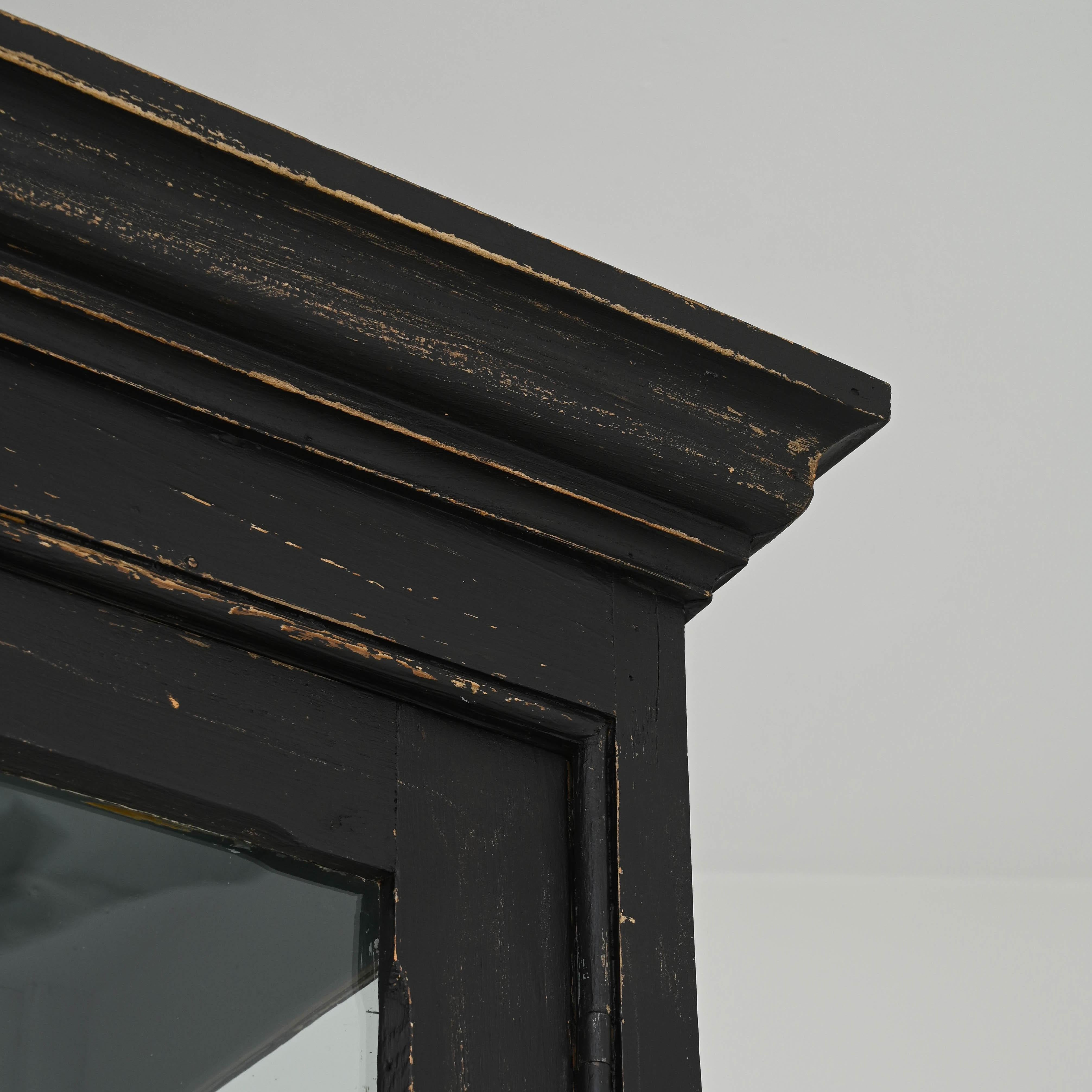 19th Century French Black Patinated Wooden Vitrine 6