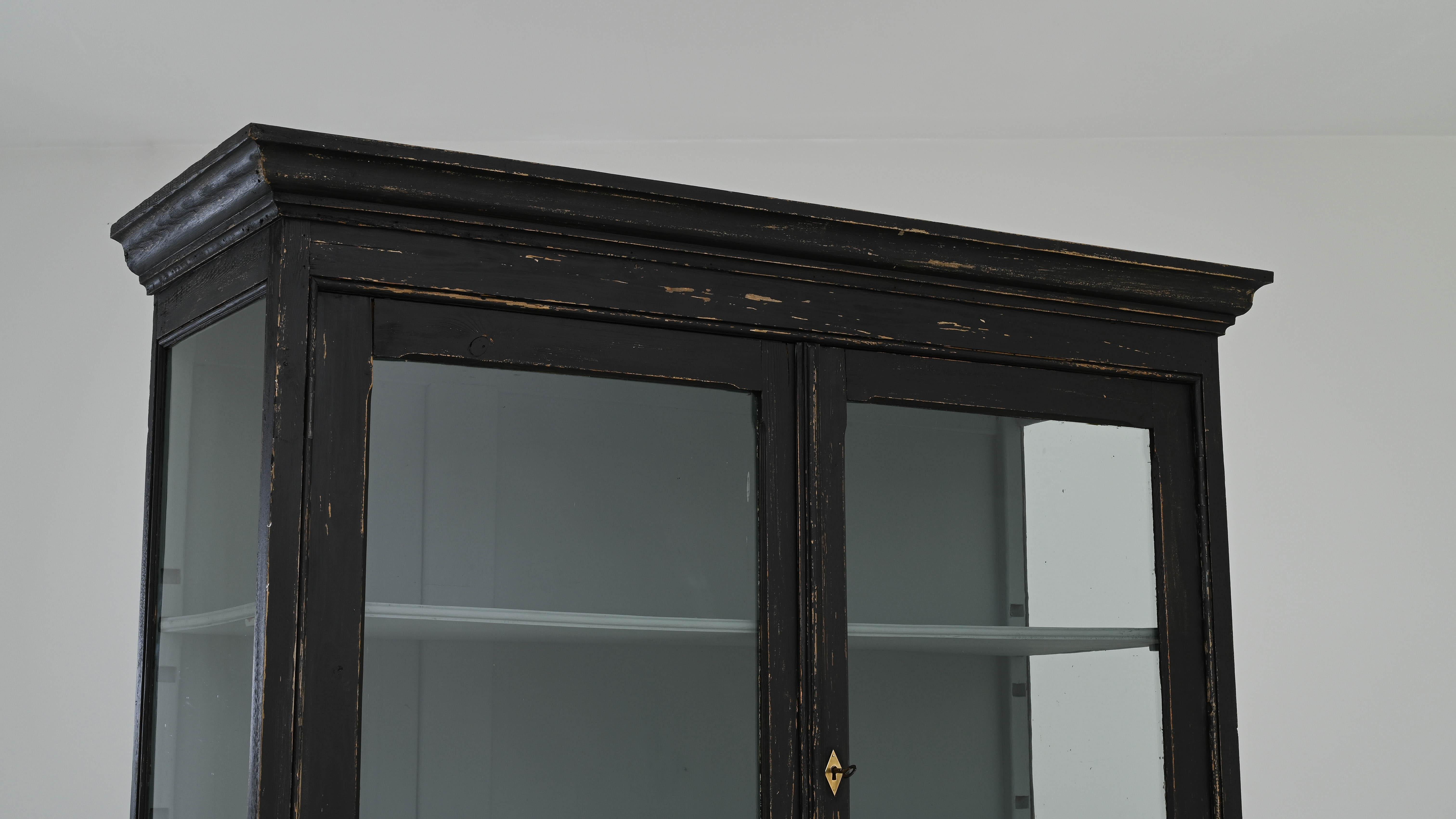 19th Century French Black Patinated Wooden Vitrine 3