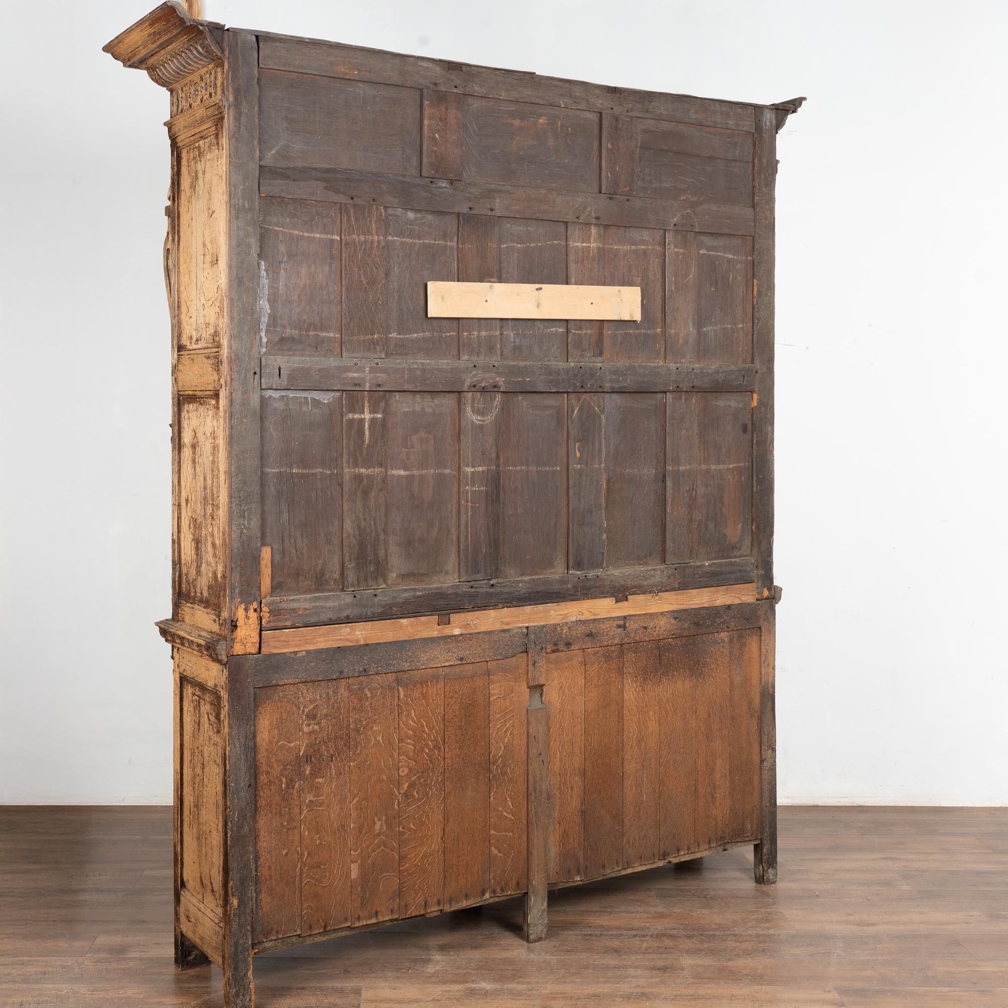 19th Century French Bleached Oak Bookcase Display Cabinet im Angebot 8
