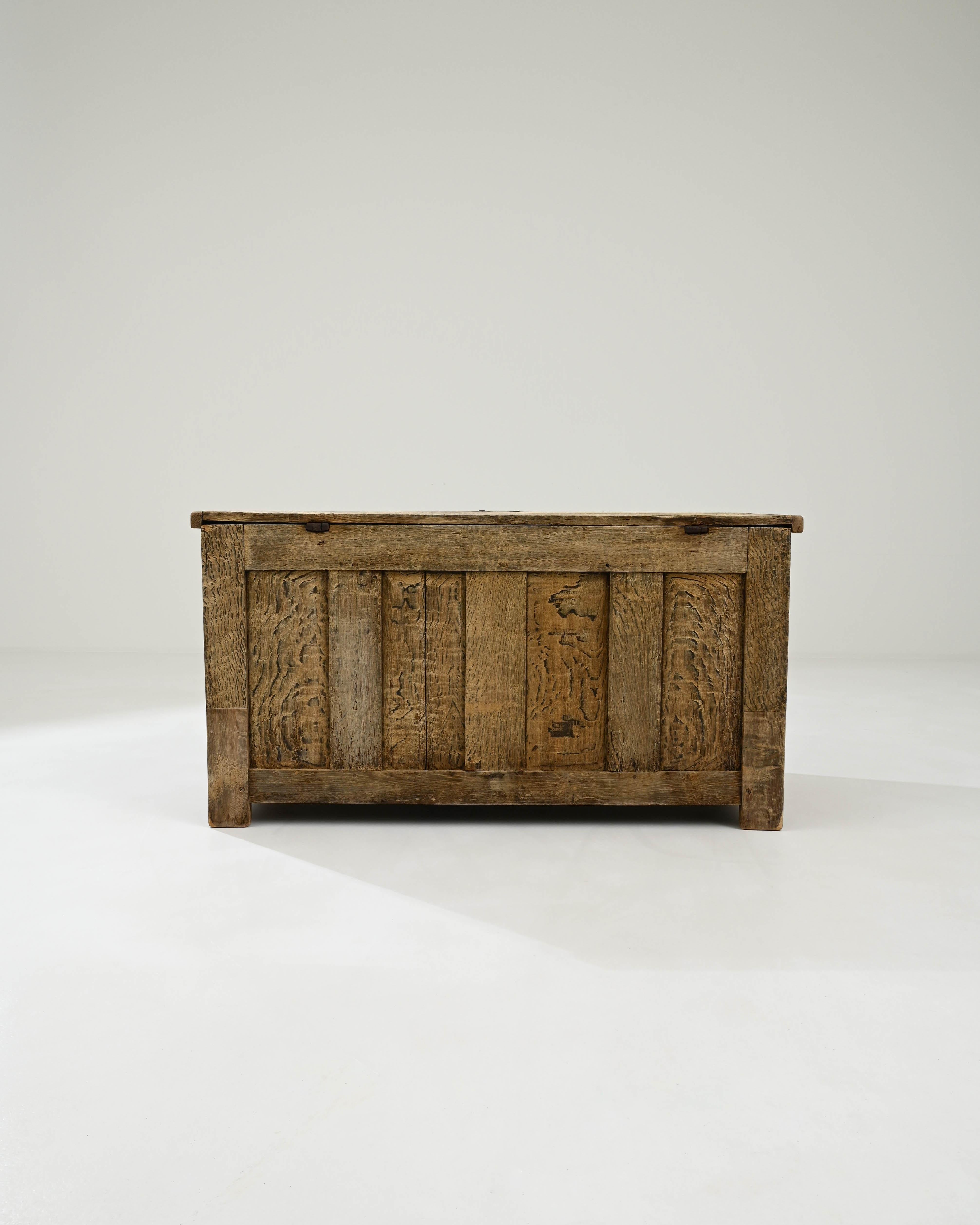 19th Century French Bleached Oak Trunk For Sale 2