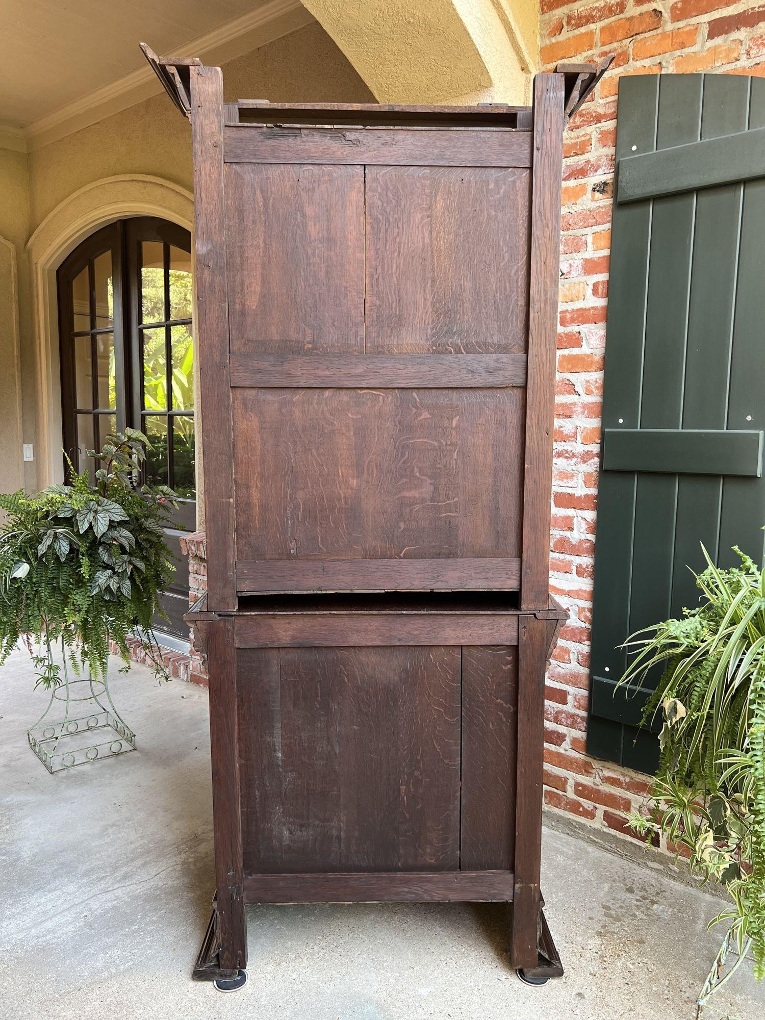 Antique French Bookcase Cabinet Carved Oak Black Forest Renaissance Glass For Sale 7