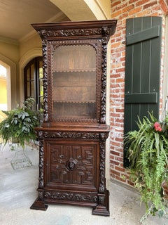 Antique French Bookcase Cabinet Carved Oak Black Forest Renaissance Glass