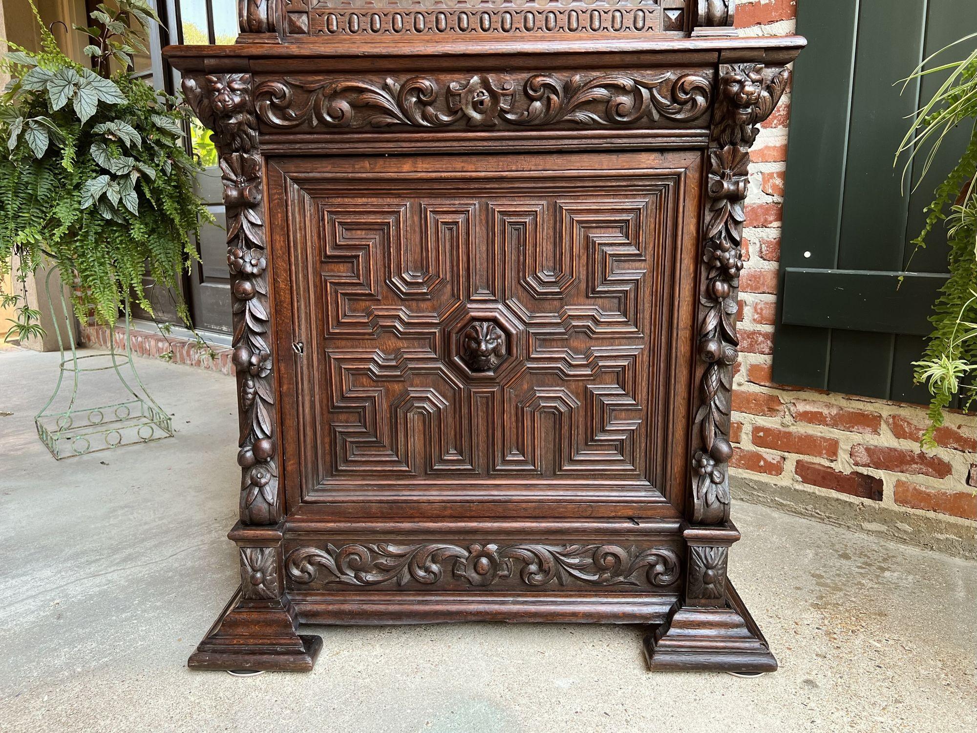 19th Century Antique French Bookcase Cabinet Carved Oak Black Forest Renaissance Glass For Sale