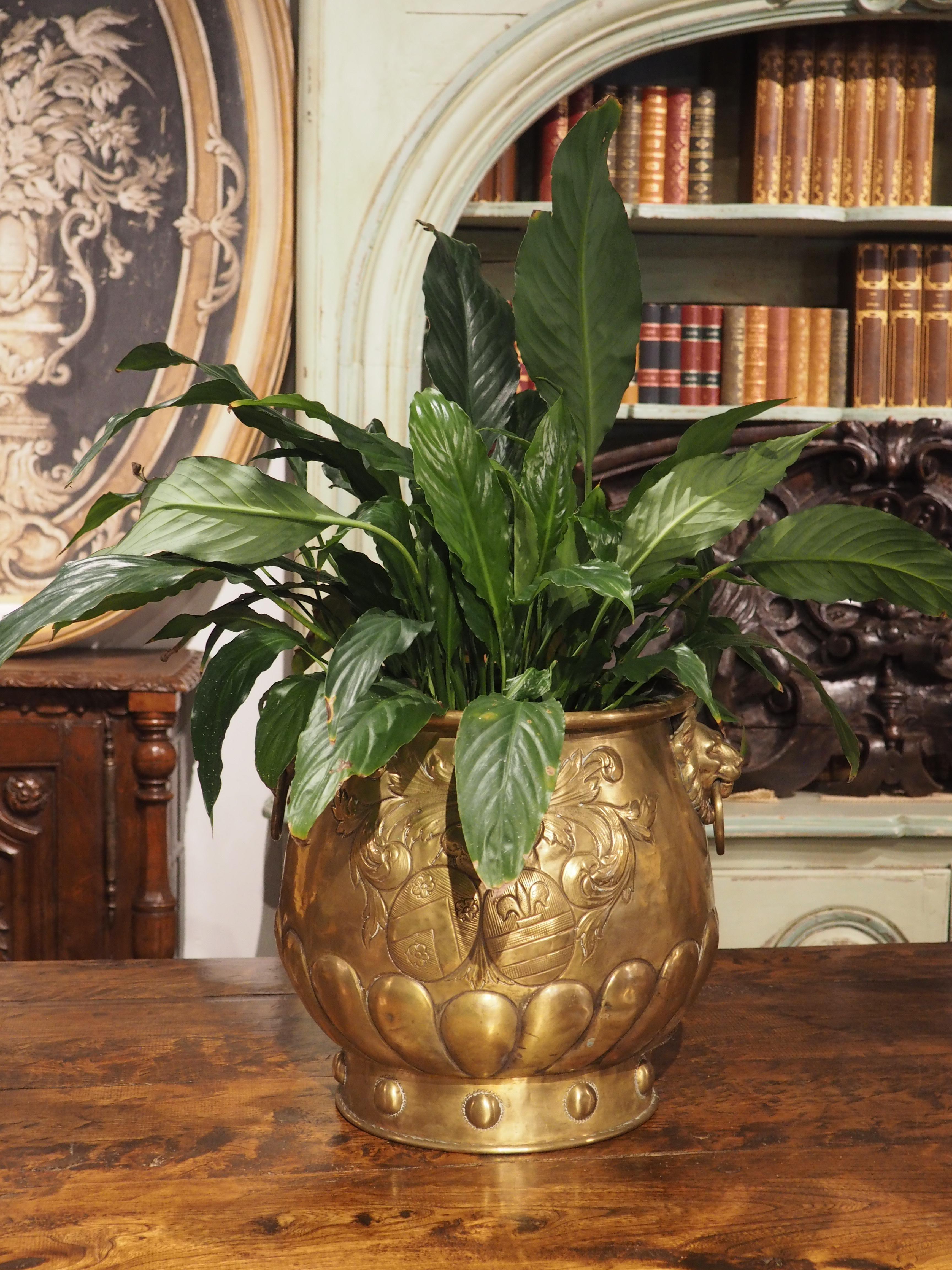 Designed to be displayed on a table or mantel, this brass cachepot with coat of arms and lions is from France. Hand-hammered in the 1800s, the cachepot was worked from the reverse side in a process known as repousse that results in low relief