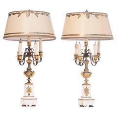 19th Century French Bronze and Marble Lamps