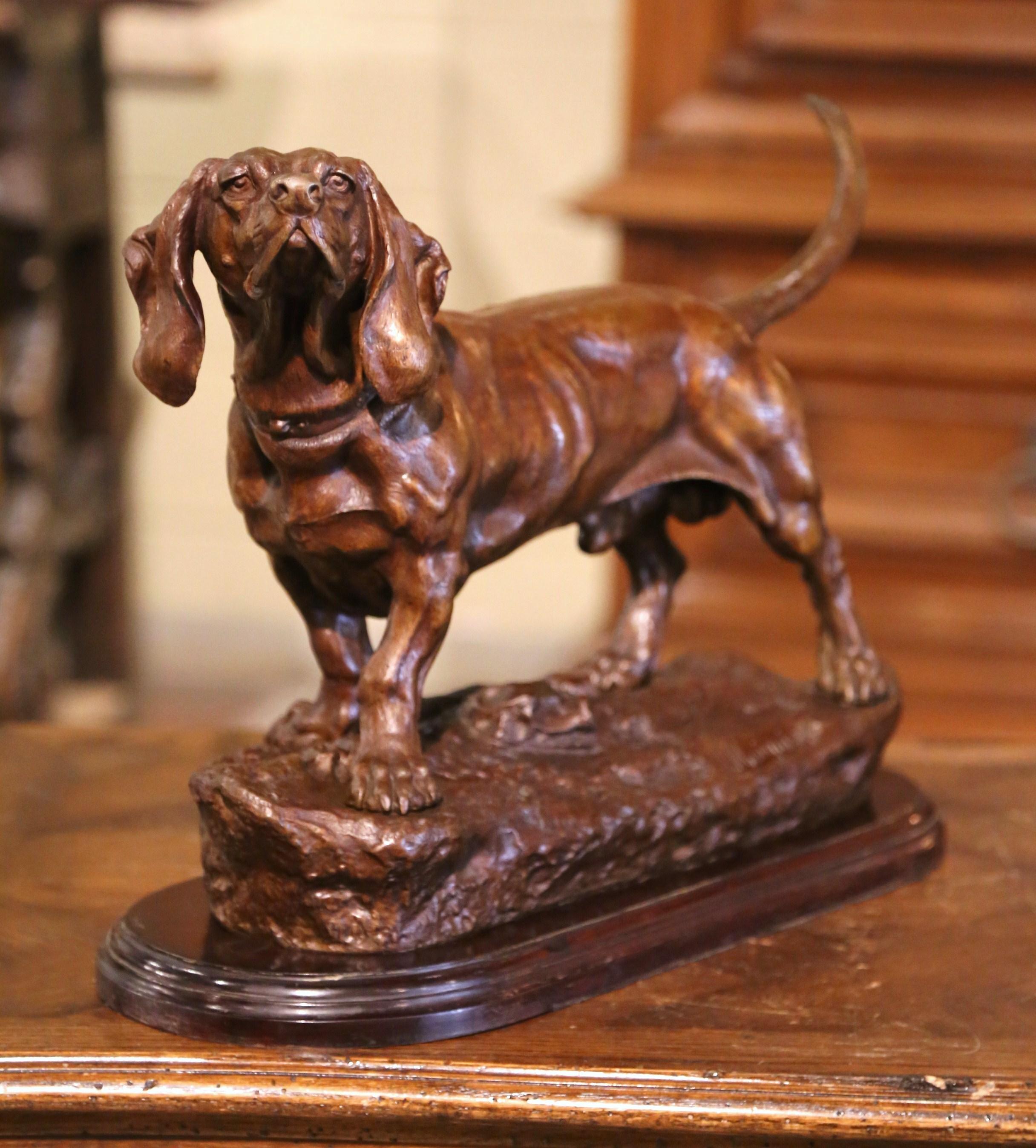 This large antique bronze sculpture was created in France, circa 1880. Standing on a patinated walnut base, the composition features a setter walking on rocky ground and looking ahead. The elegant piece is in excellent condition with wonderful