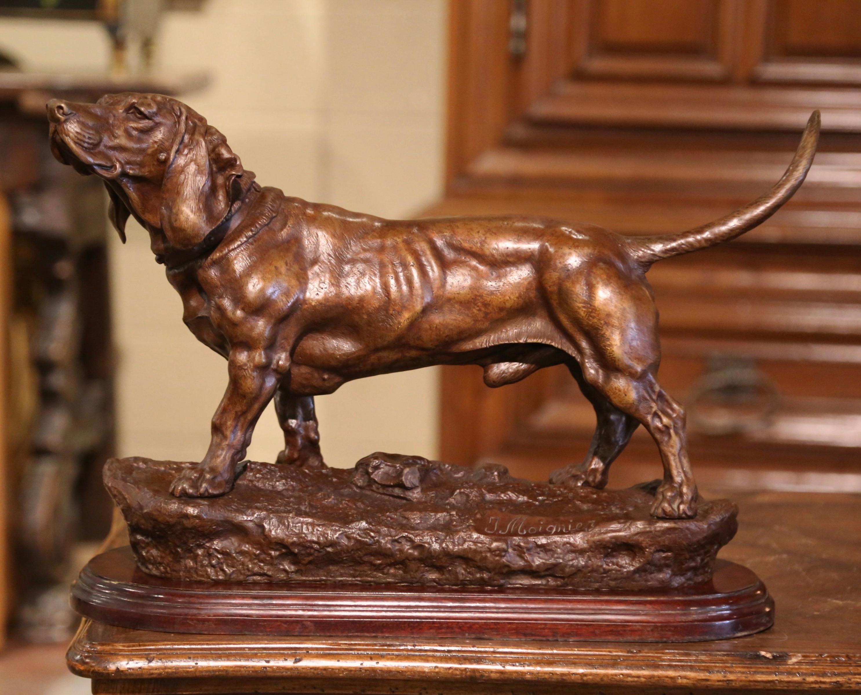 XIXe siècle Sculpture de chien en bronze français du 19ème siècle sur base en noyer signée Jules Moigniez en vente