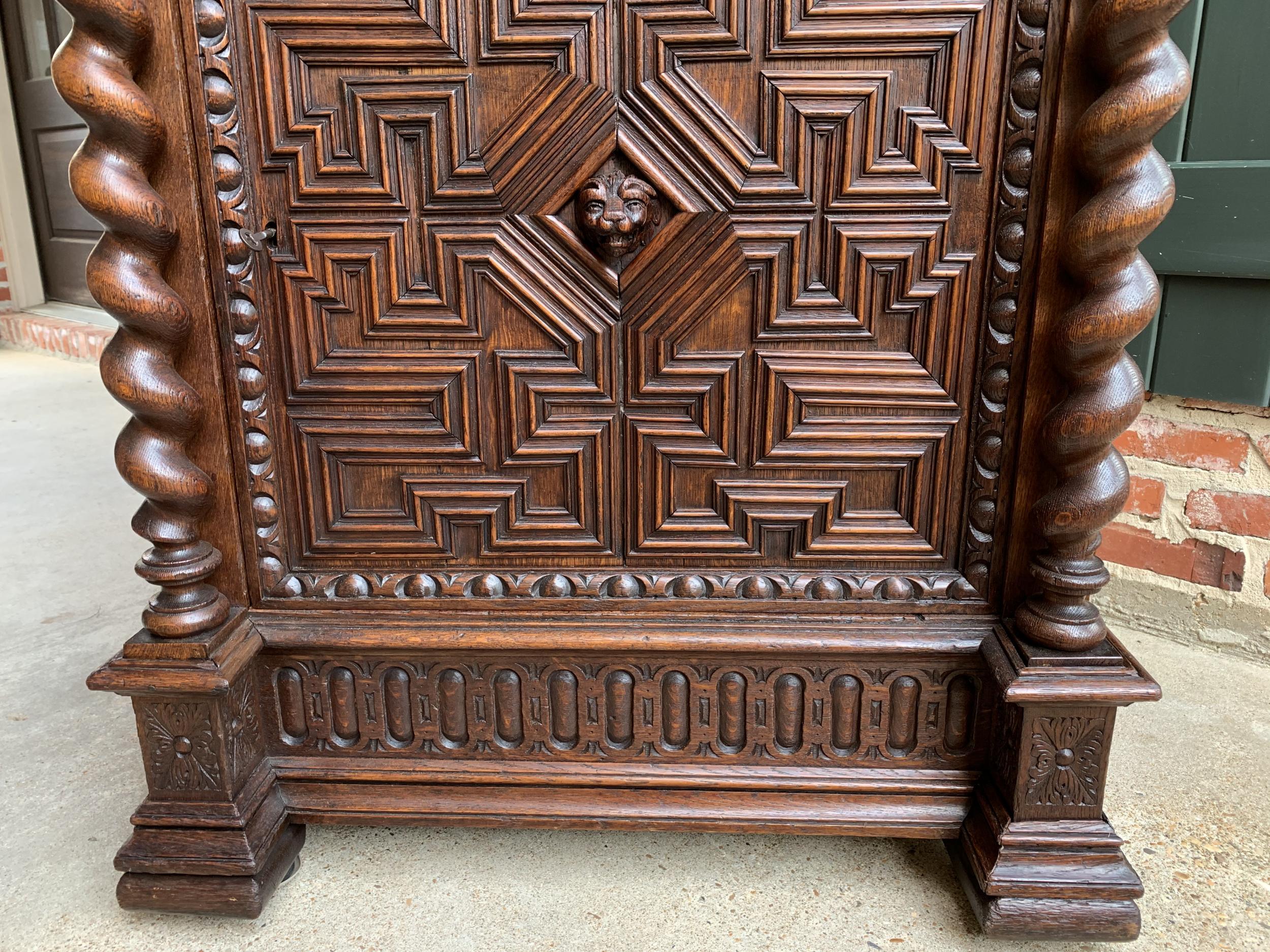19th Century French Cabinet Bookcase Carved Oak Barley Twist Display Renaissance 12