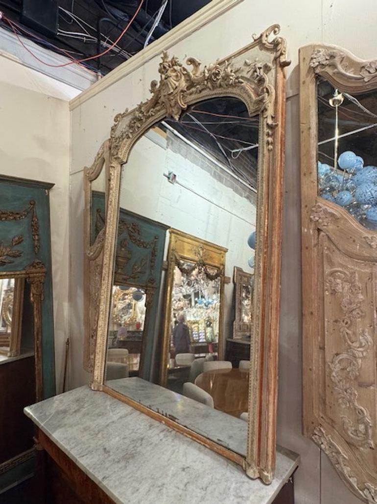 Le miroir en gesso sculpté français du XIXe siècle est un meuble étonnant avec des sculptures complexes et une finition blanchie.   Ce miroir antique respire l'élégance et le charme, ce qui en fait un ajout intemporel à toute décoration d'intérieur.