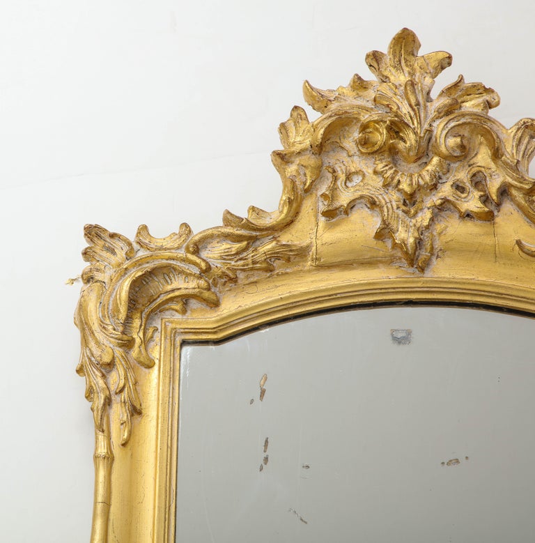 Hand-Carved 19th Century French Carved Gilded Mirror For Sale