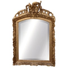 19th Century French Carved, gilded, molded mirror