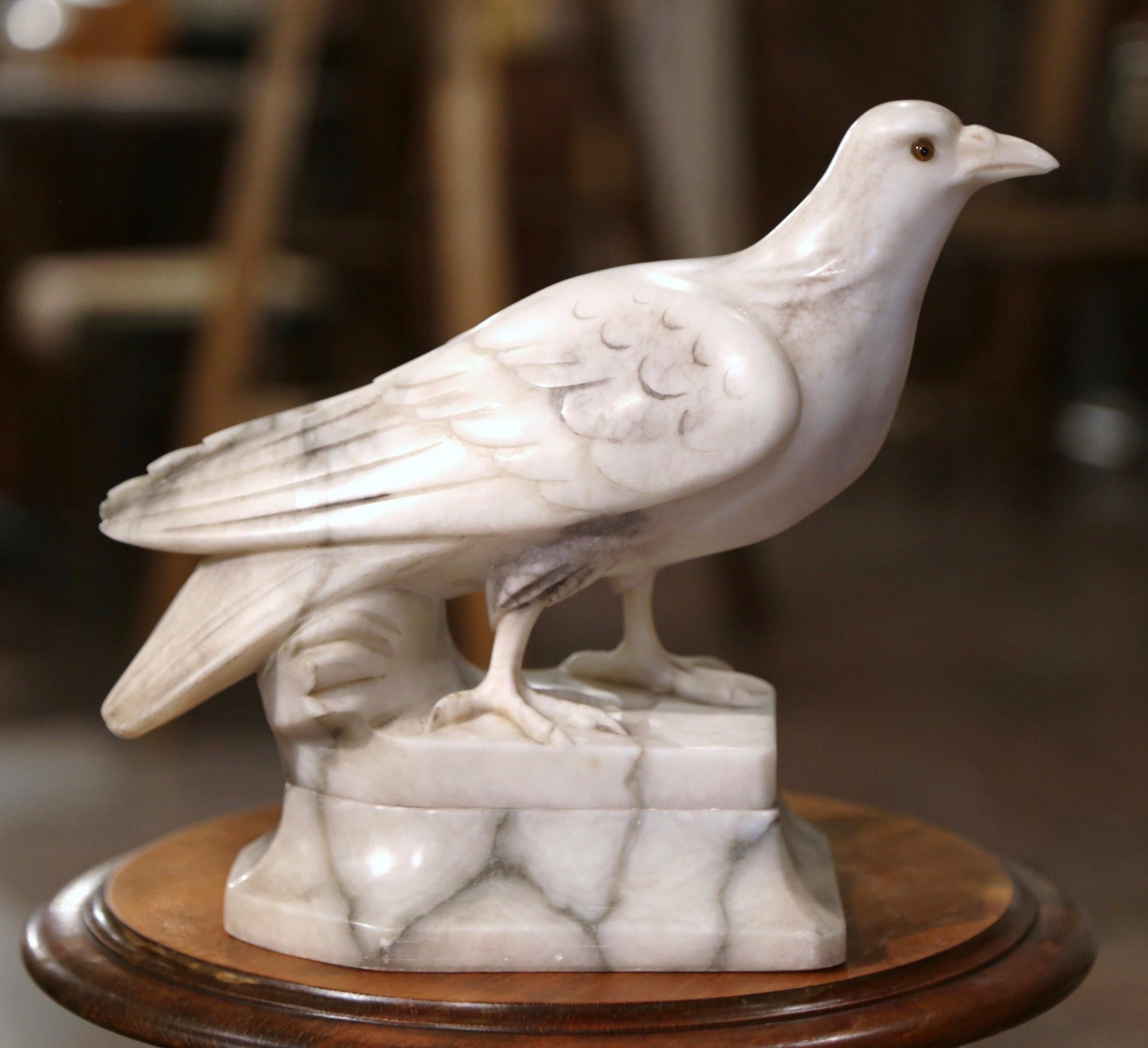 Decorate a shelf or a man's office desk with this stately antique marble dove sculpture. Created in France circa 1880, and carved of variegated marble, the figure depicts a proud bird standing on integral rectangular base with his head turned; the