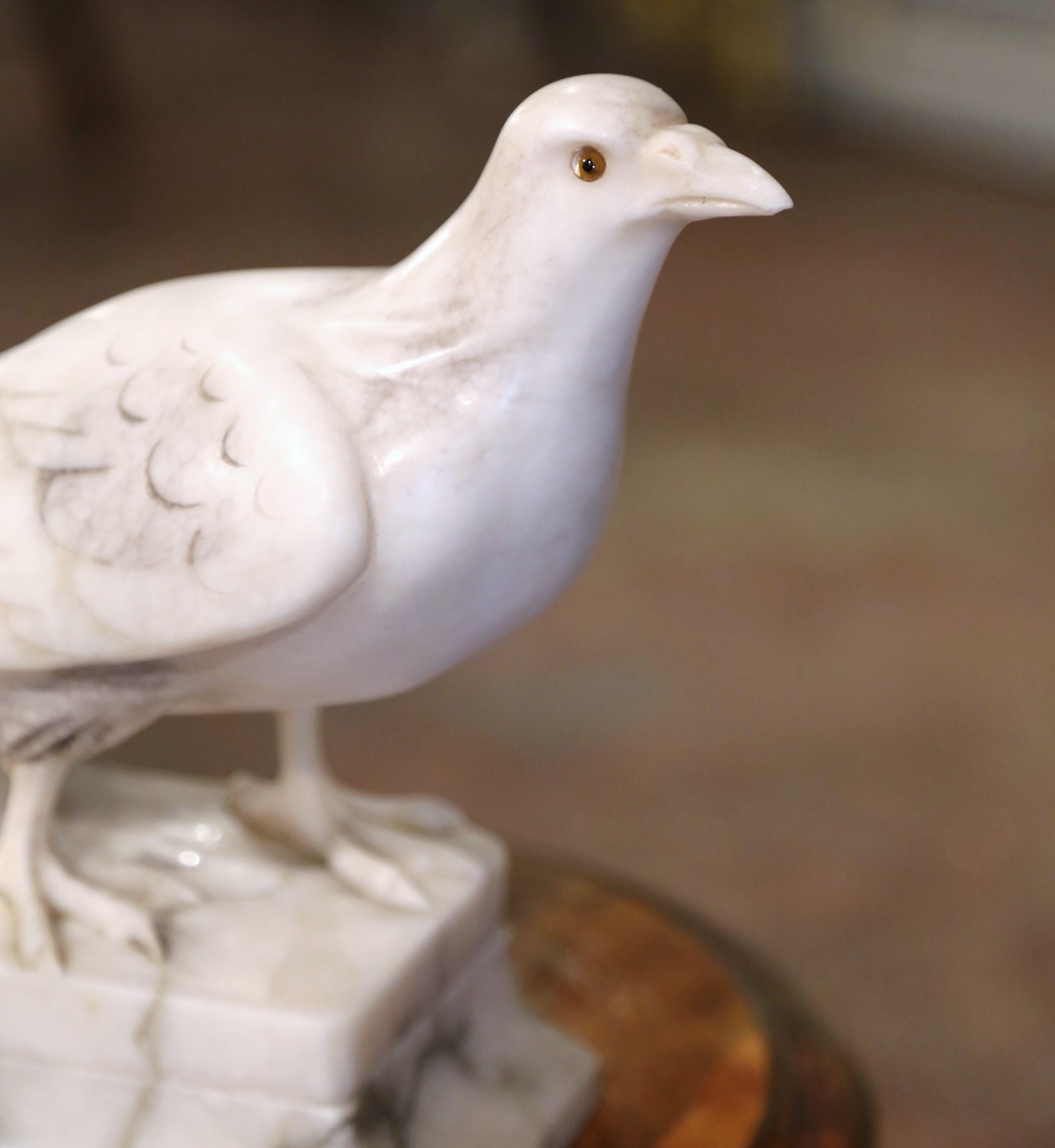 19th Century French Carved Marble Dove Sculpture with Glass Eyes Signed Torrini In Excellent Condition For Sale In Dallas, TX