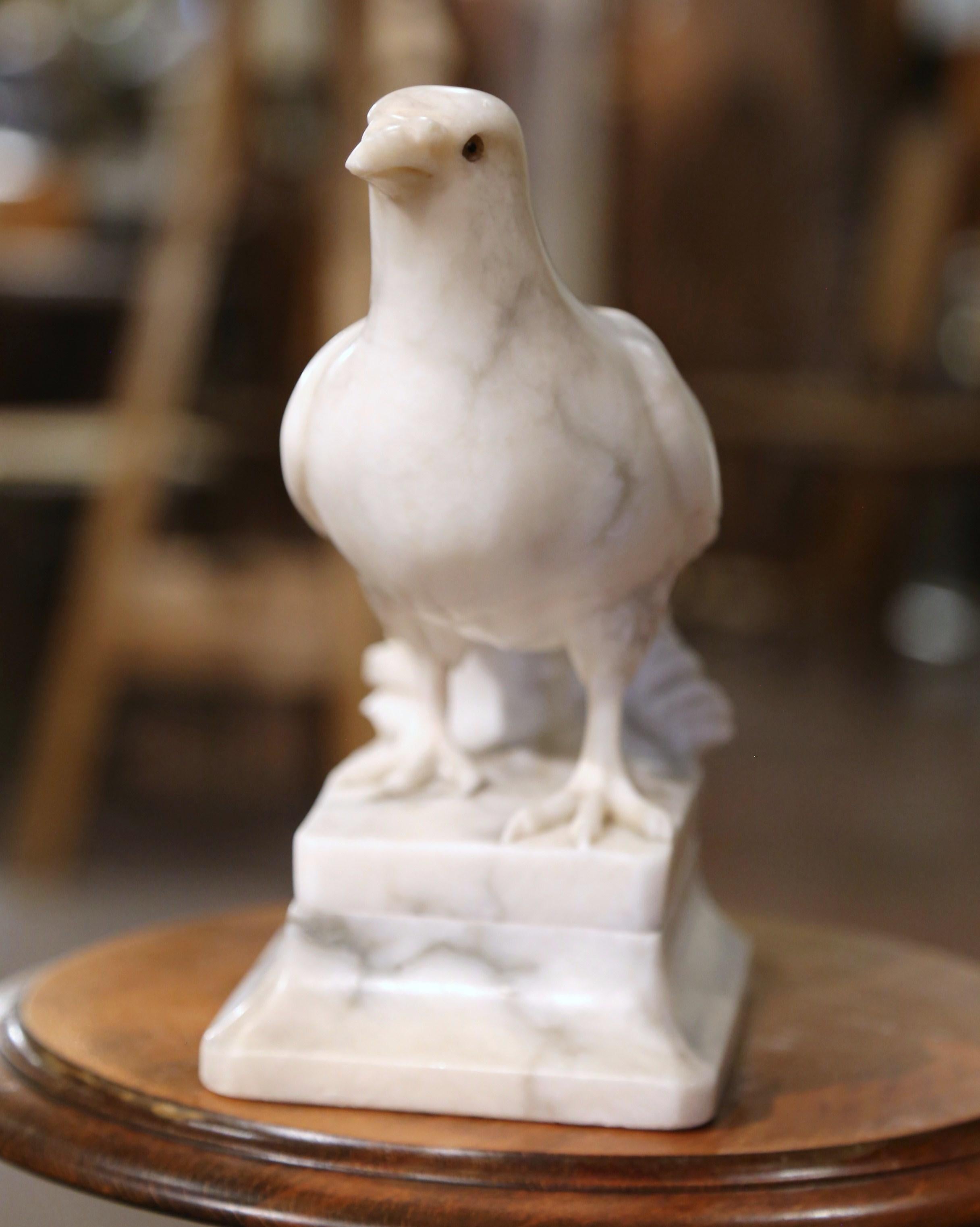 19th Century French Carved Marble Dove Sculpture with Glass Eyes Signed Torrini For Sale 2
