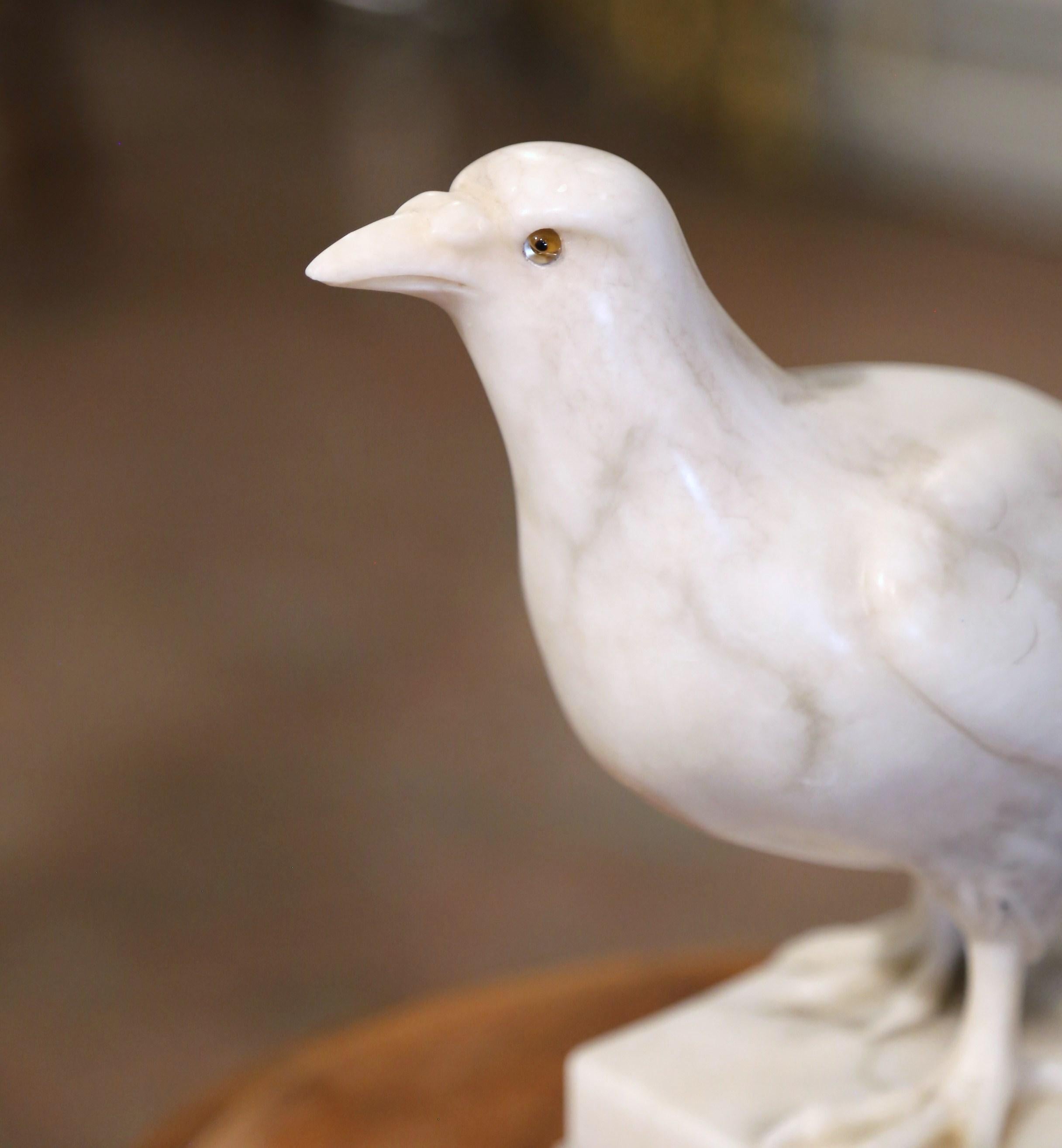 19th Century French Carved Marble Dove Sculpture with Glass Eyes Signed Torrini For Sale 4