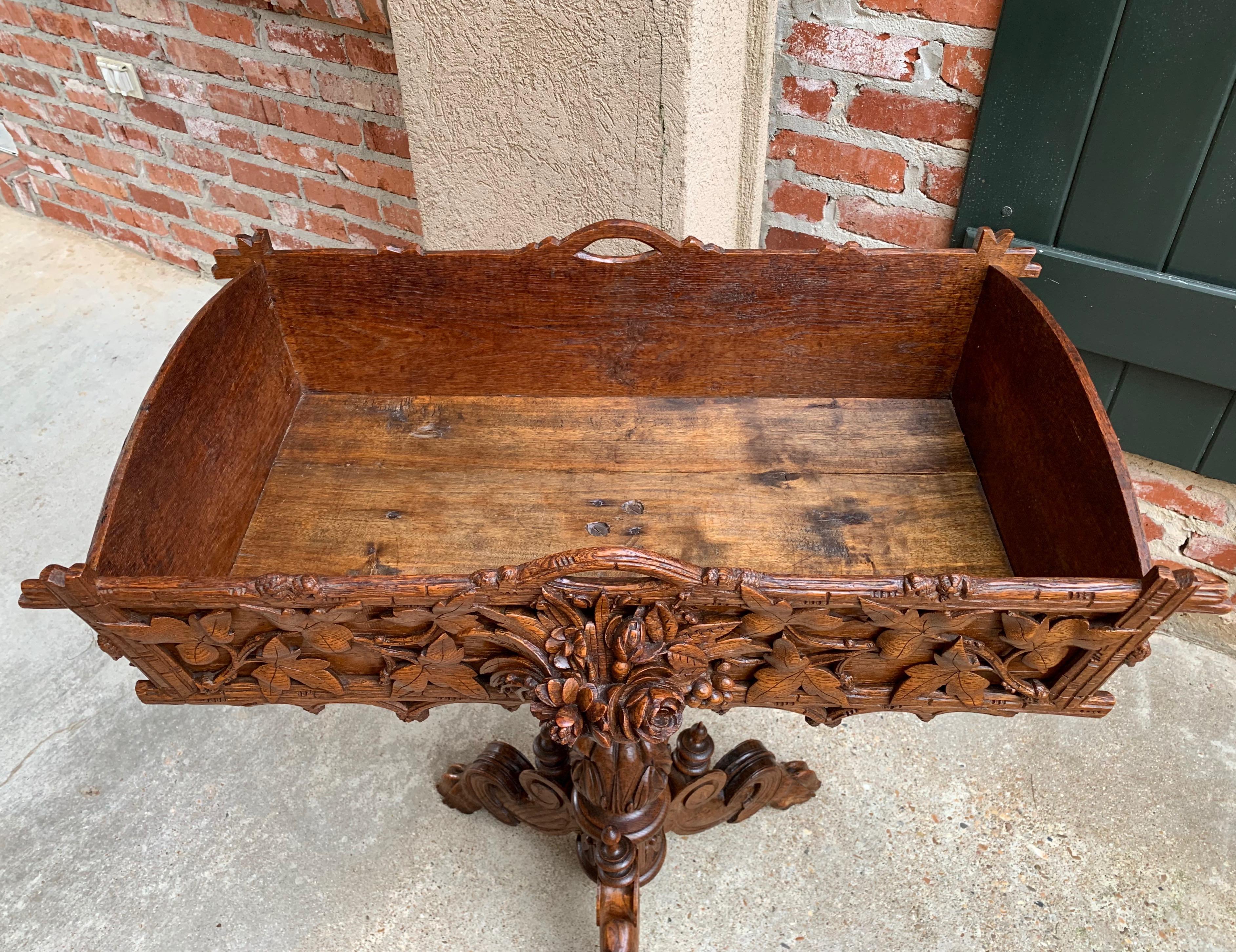 19th Century French Carved Oak Black Forest Plant Stand Jardinière Flower Box 5