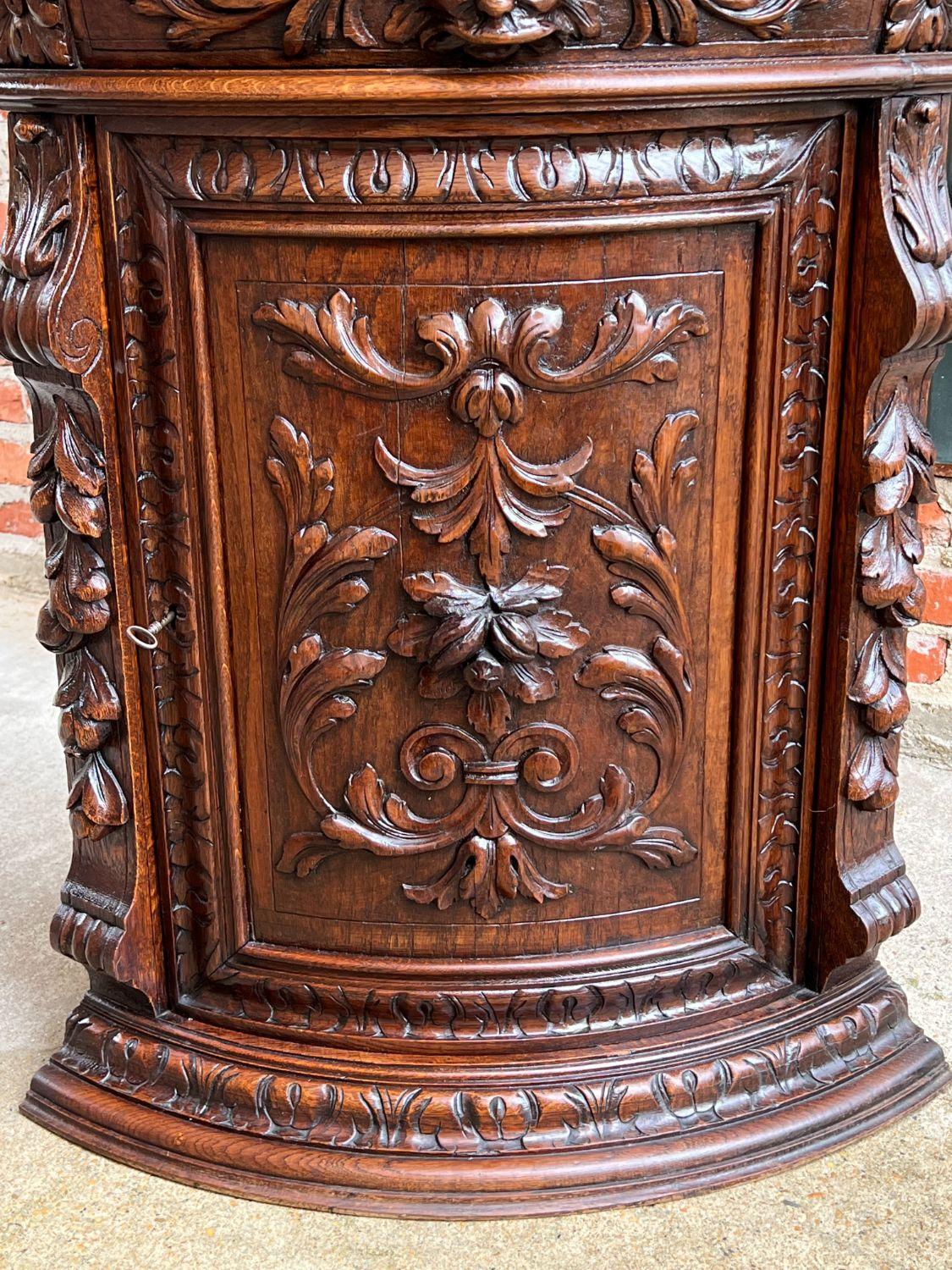 19th Century French Carved Oak Corner Cabinet Renaissance Petite Arched Front 2