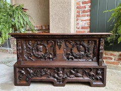 19th Century French Carved Oak Trunk Bench Chest Gothic Renaissance Coffee Table