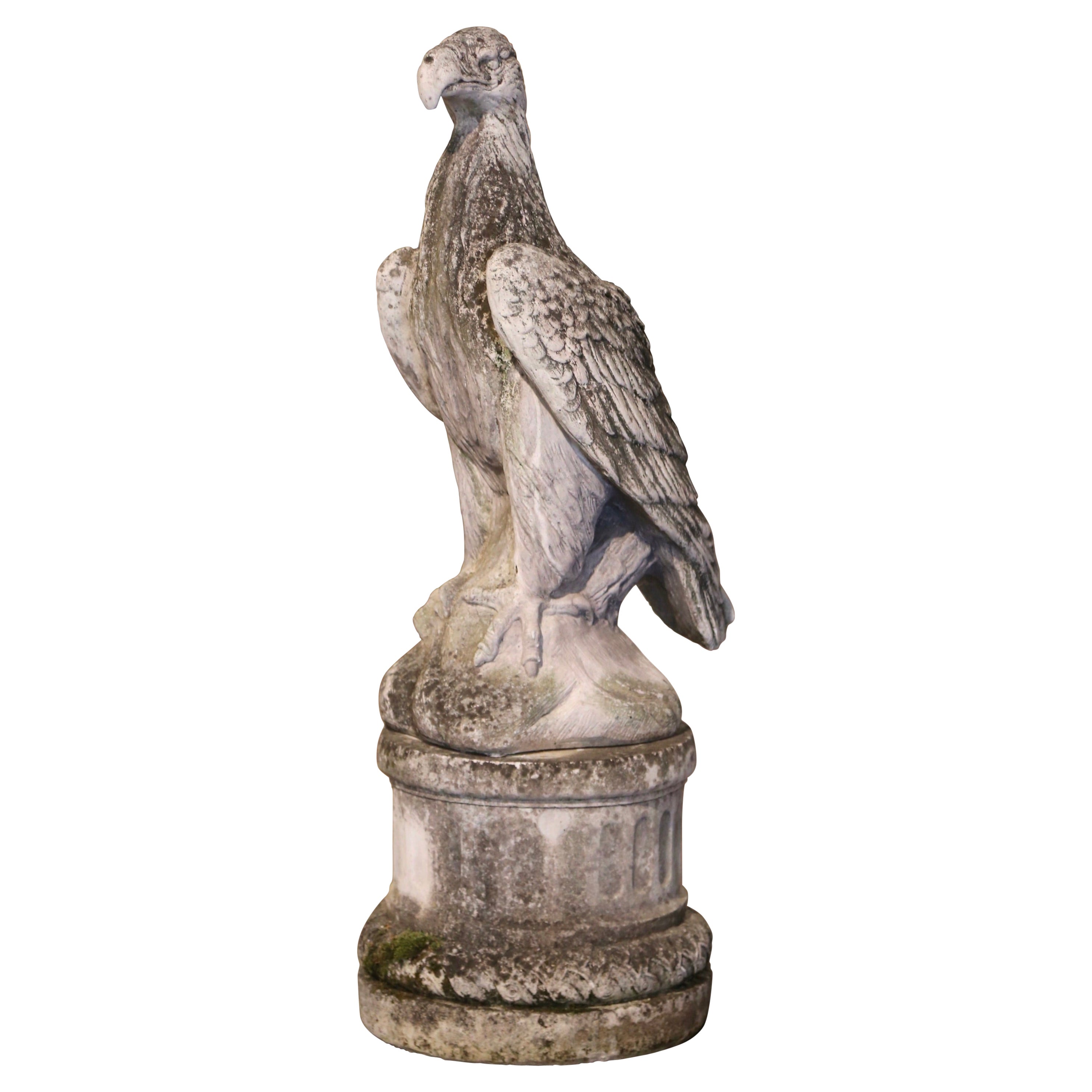Scultura di aquila in pietra intagliata francese del XIX secolo su base a piedistallo
