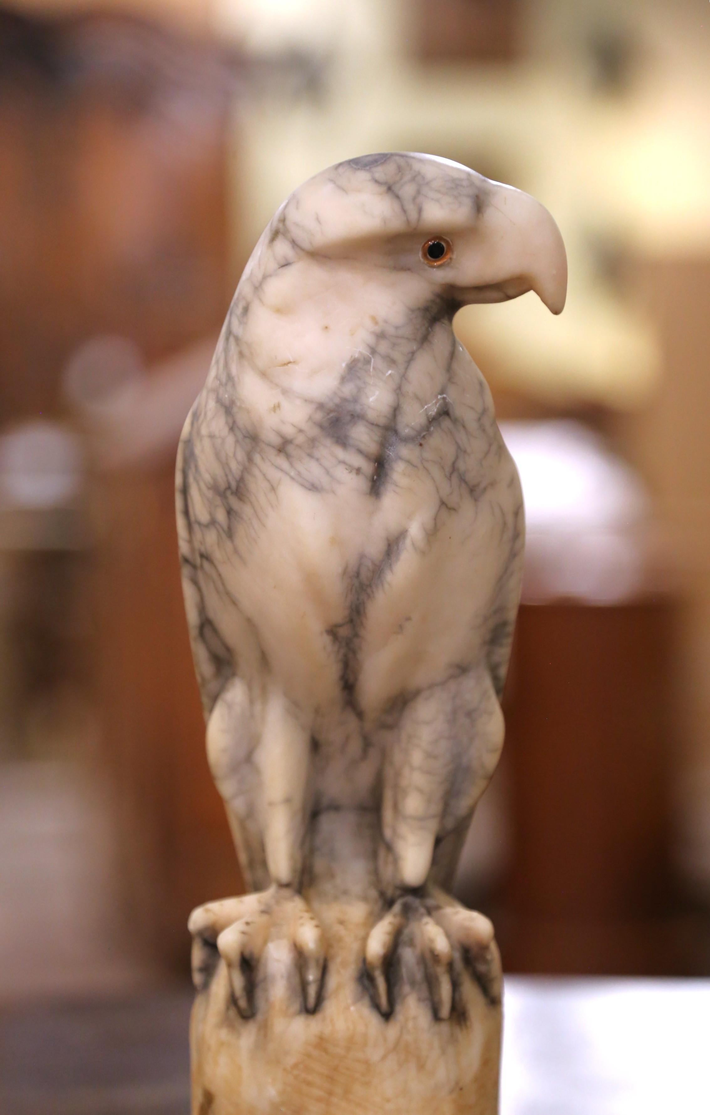 Hand-Carved 19th Century French Carved Variegated Marble Eagle Sculpture with Glass Eyes For Sale