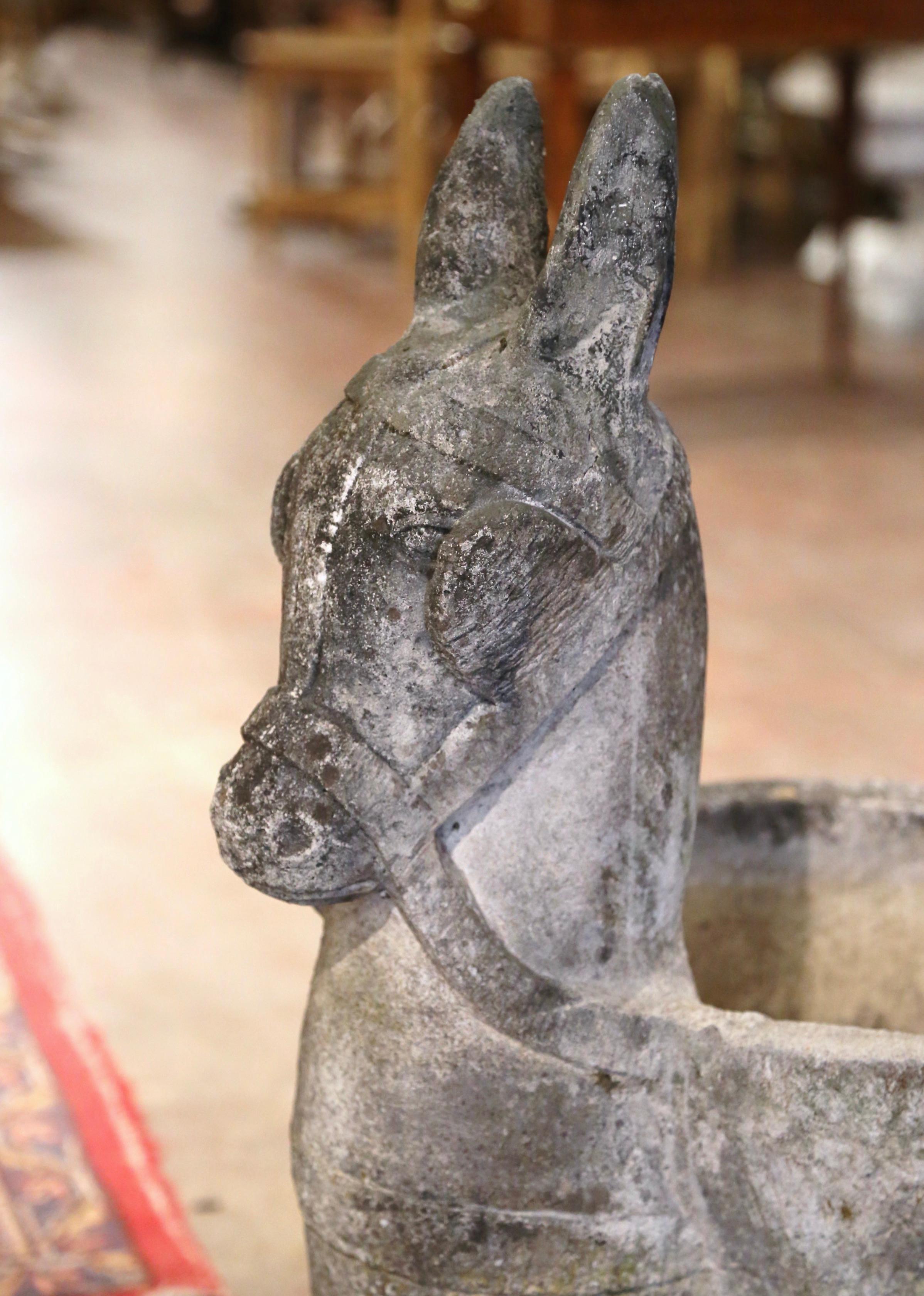 19th Century French Carved Weathered Concrete Garden Donkey Planter 3
